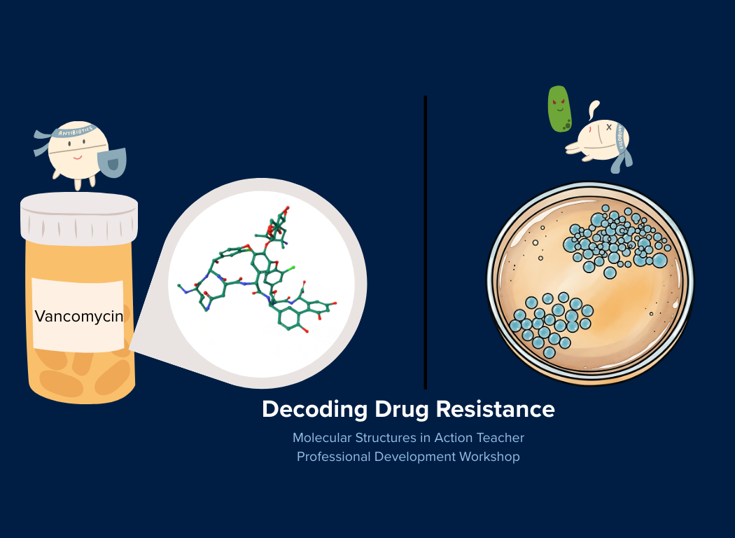 i-STEAM Decoding Drug Resistance: Molecular Structures in Action