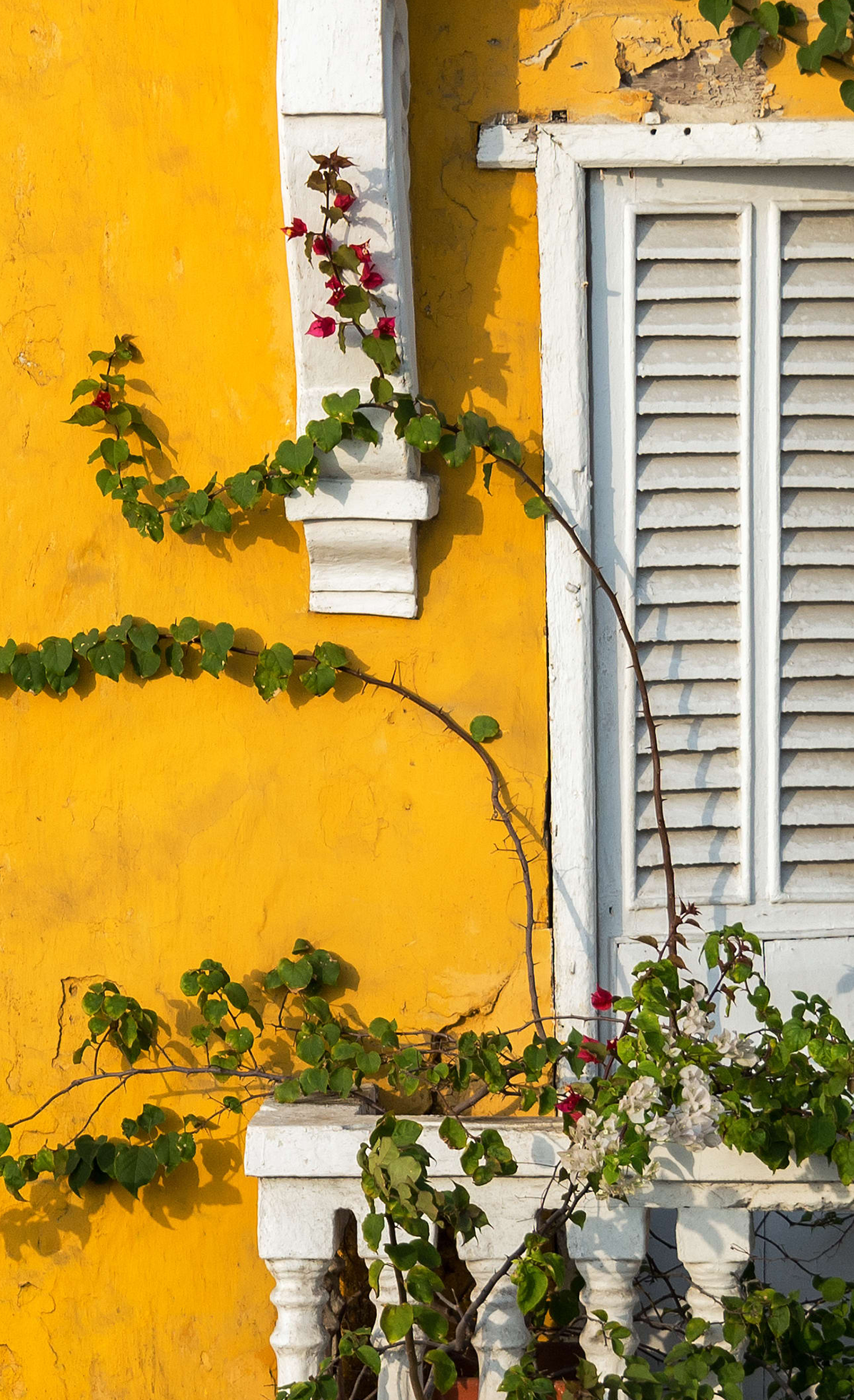 About Us Cultural Immersion