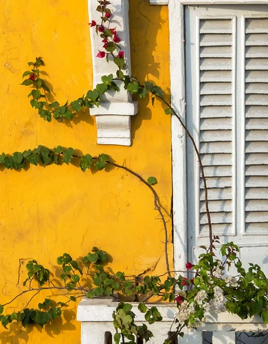 About Us Cultural Immersion