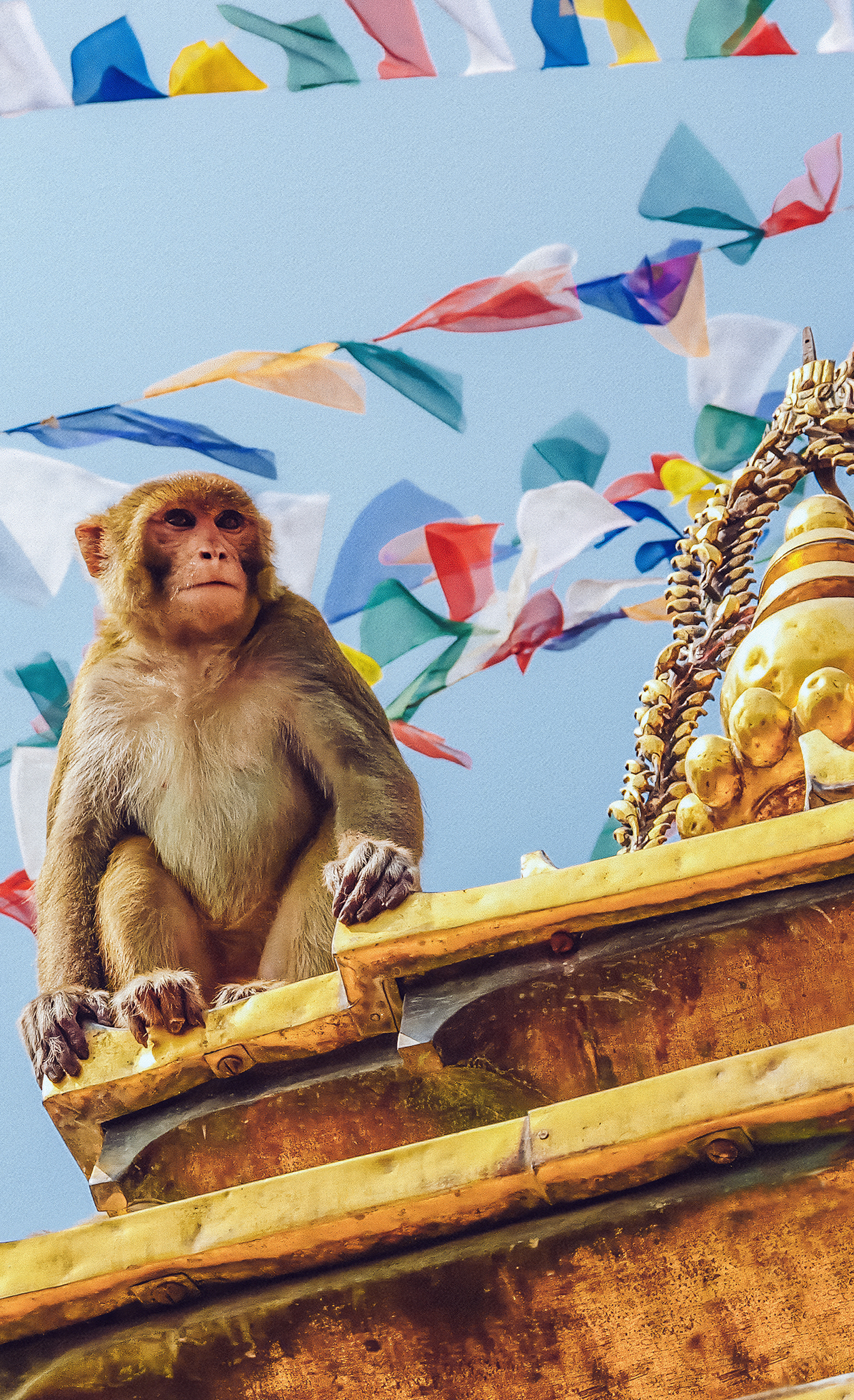 About Us Cultural Immersion2