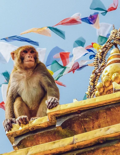 About Us Cultural Immersion2