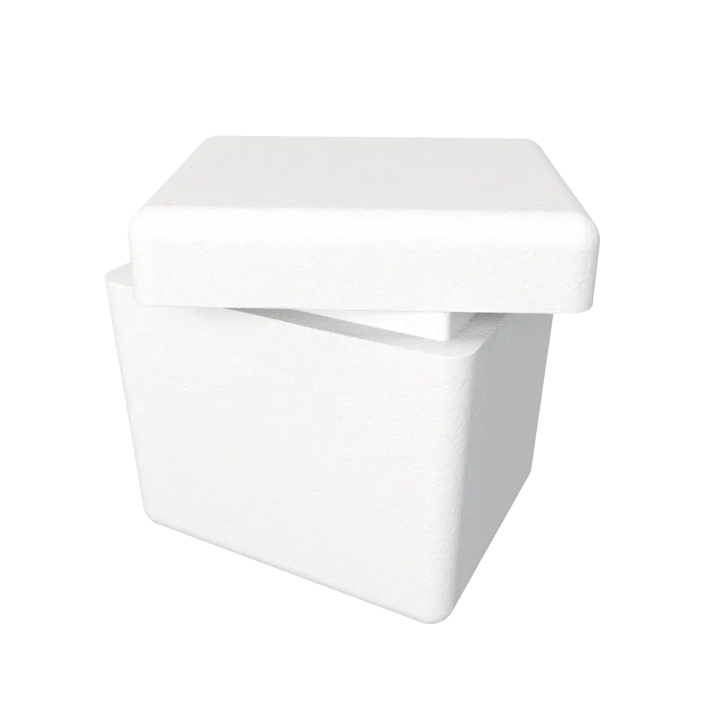 3D rendering of an Atlas insulated shipping container.