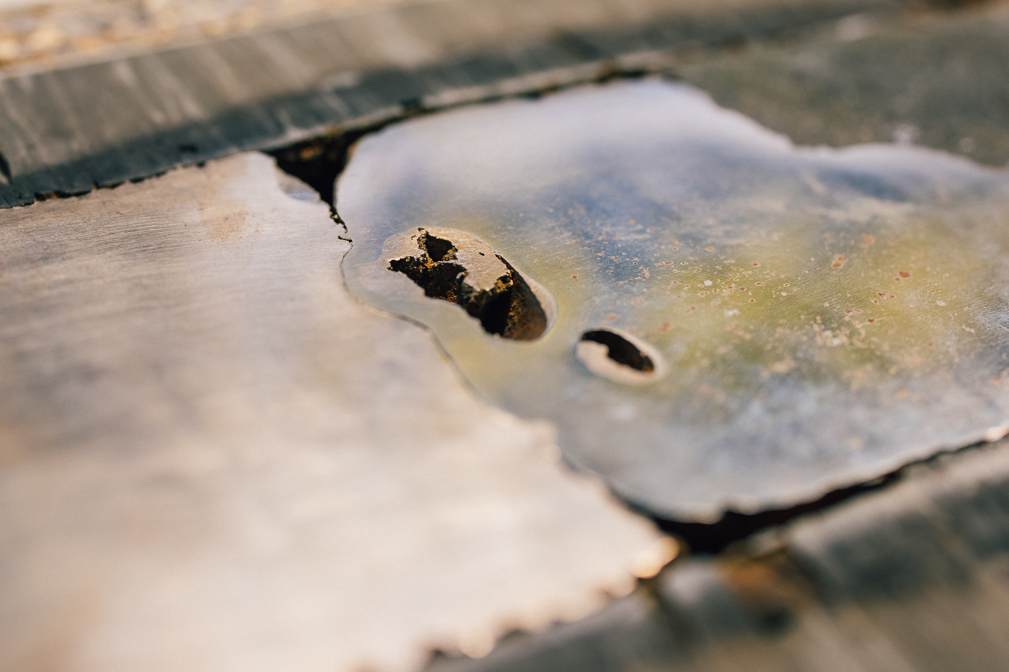 20240903 1017 Interwell Trondheim LR 09 steffenvidar jenssen fabelmedia