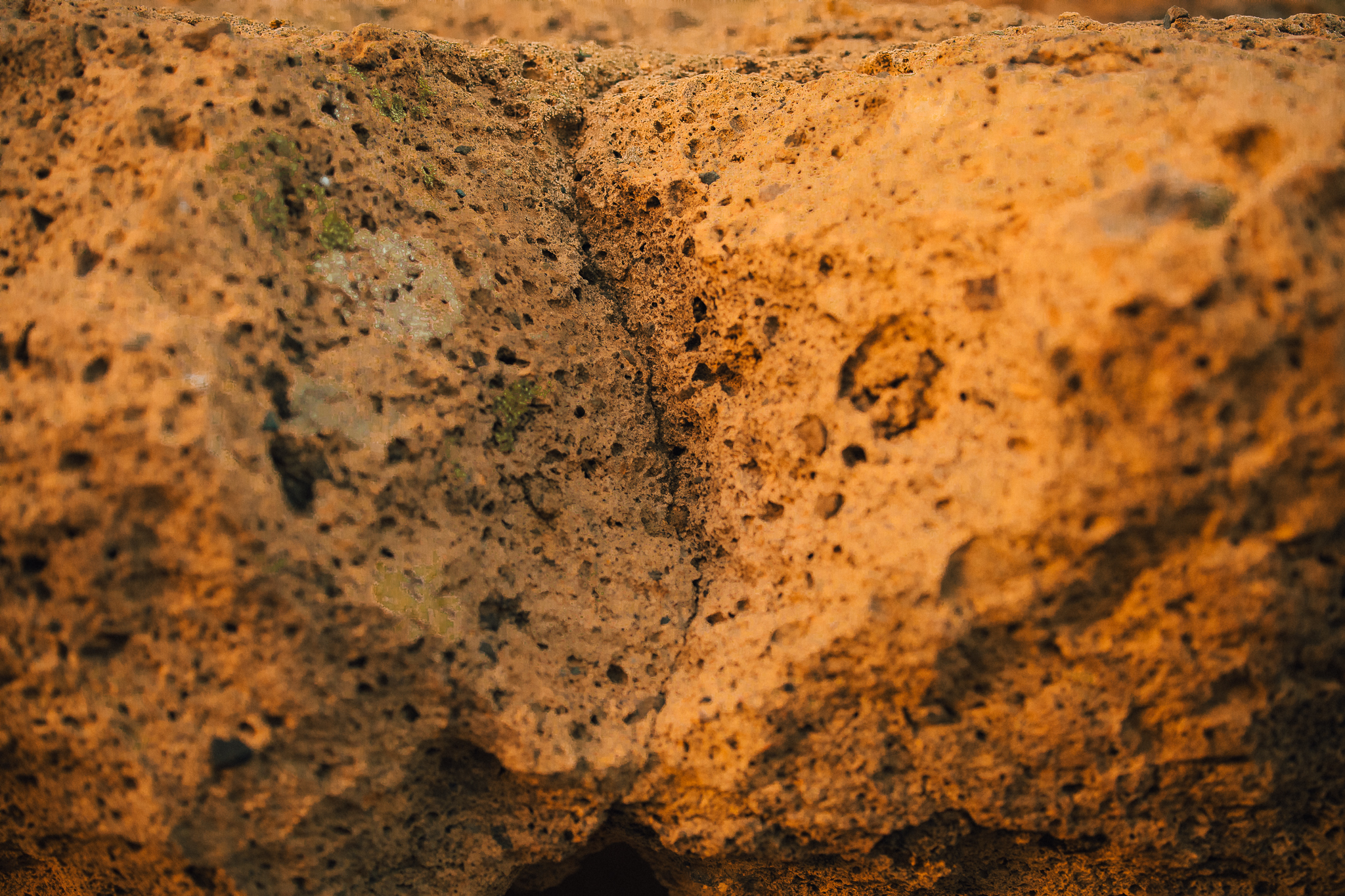 20240917 0853 Interwell Tenerife LR 09 steffenvidar jenssen fabelmedia 3