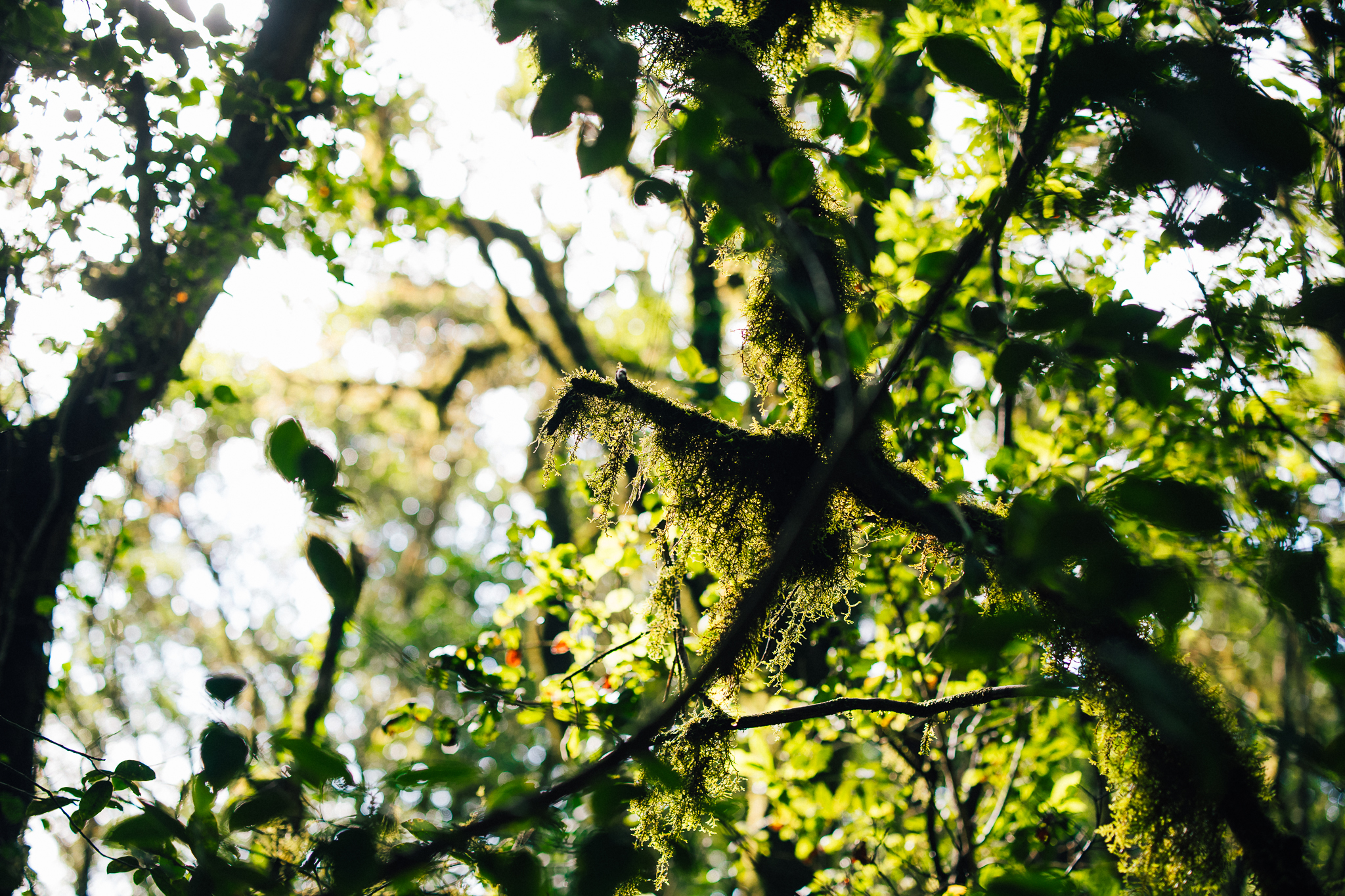 20240918 1040 Interwell Tenerife LR 09 steffenvidar jenssen fabelmedia