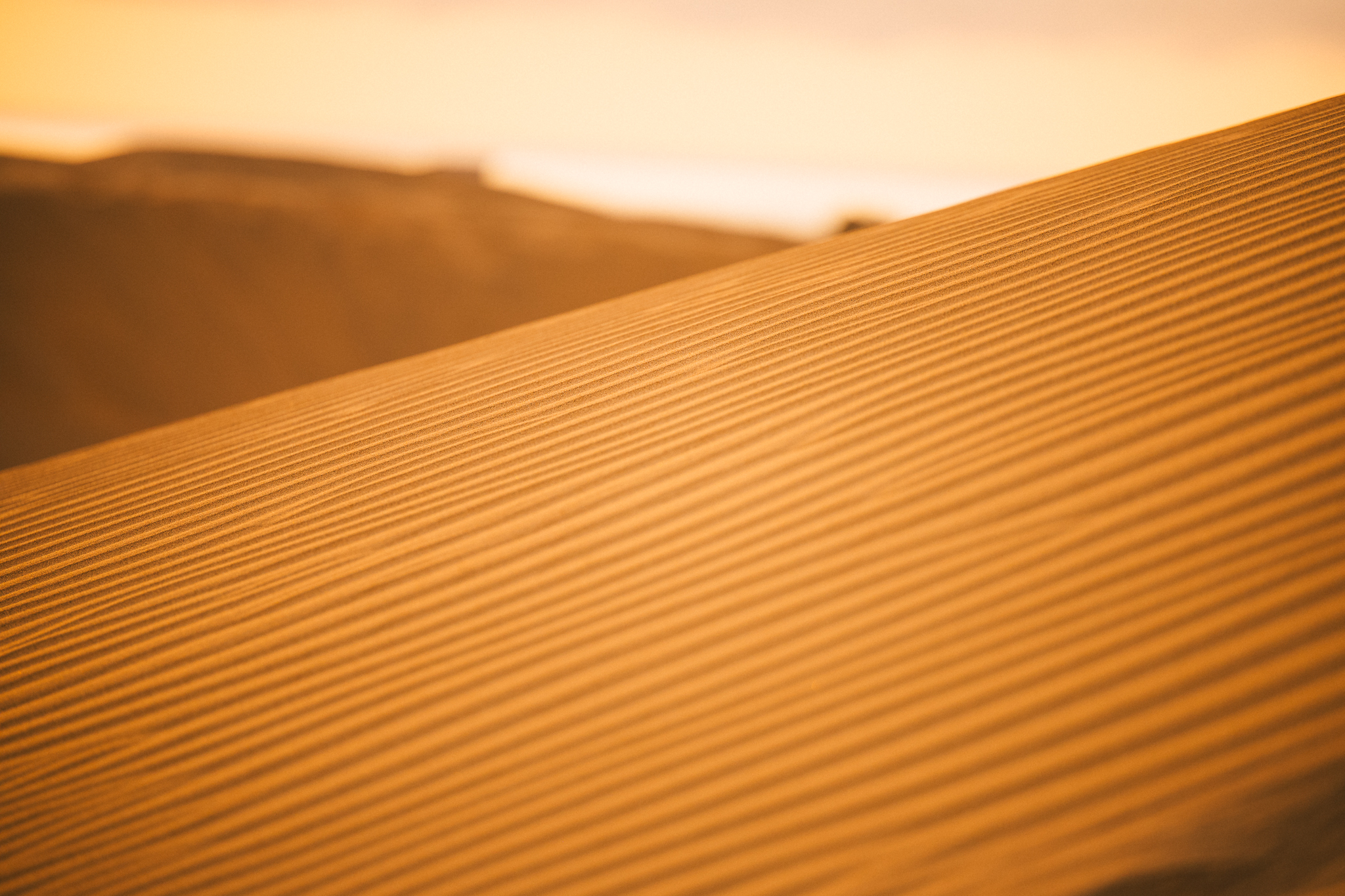 20240919 0906 Interwell Tenerife LR 09 steffenvidar jenssen fabelmedia 2