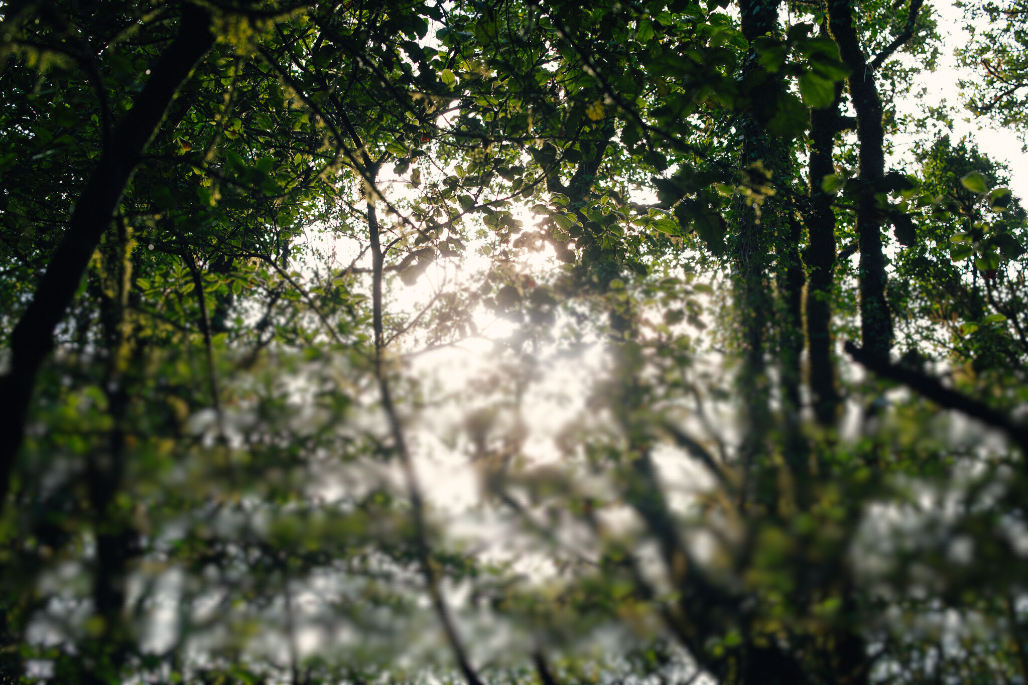 B8abd60c c97d 456b a33e 26cff3faced8