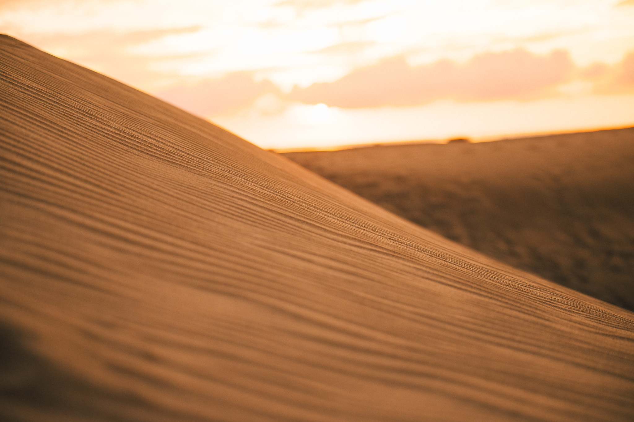 IN Dessert Textures Details LR 15