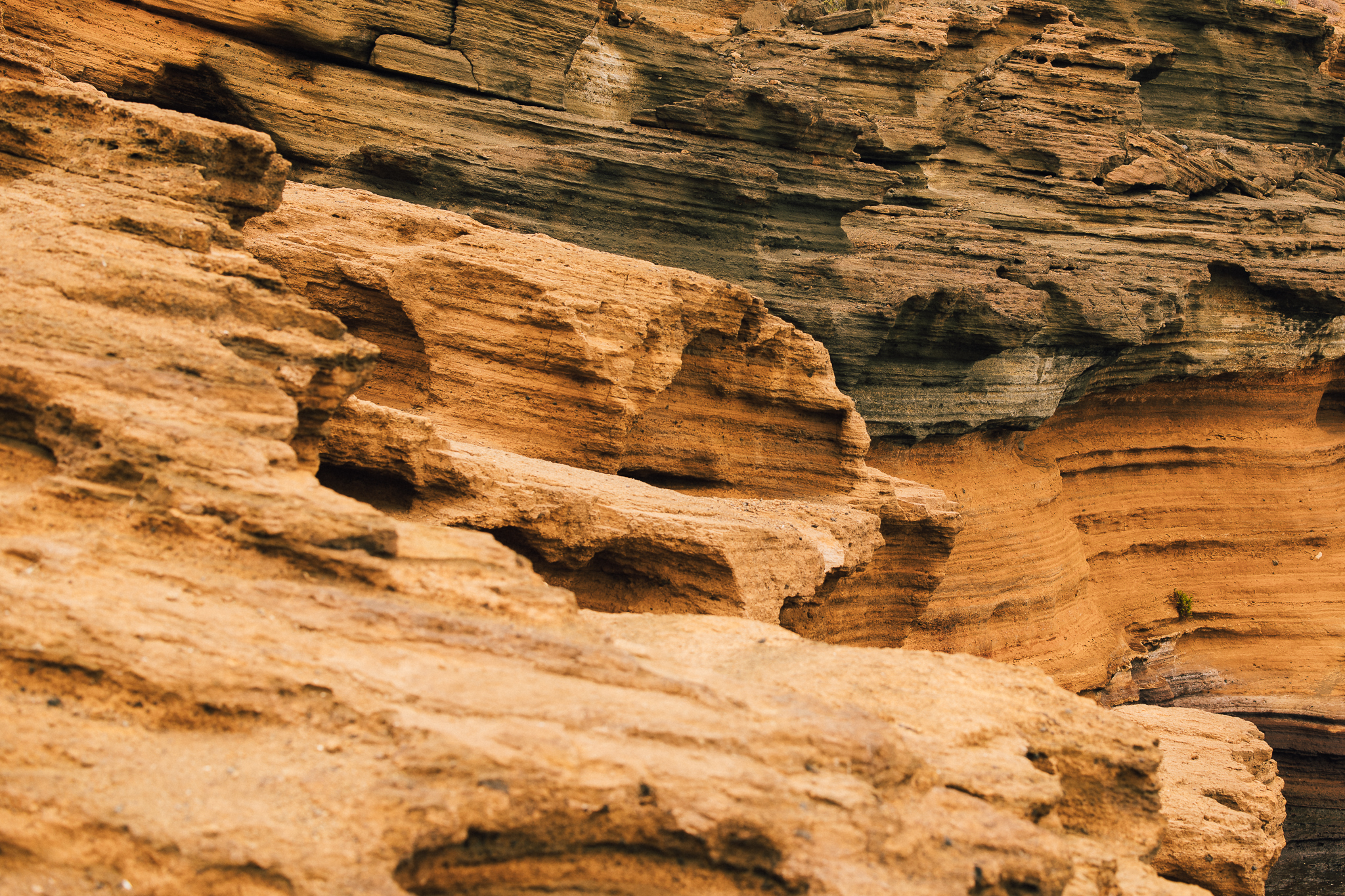 IN Dessert Textures Details LR 22