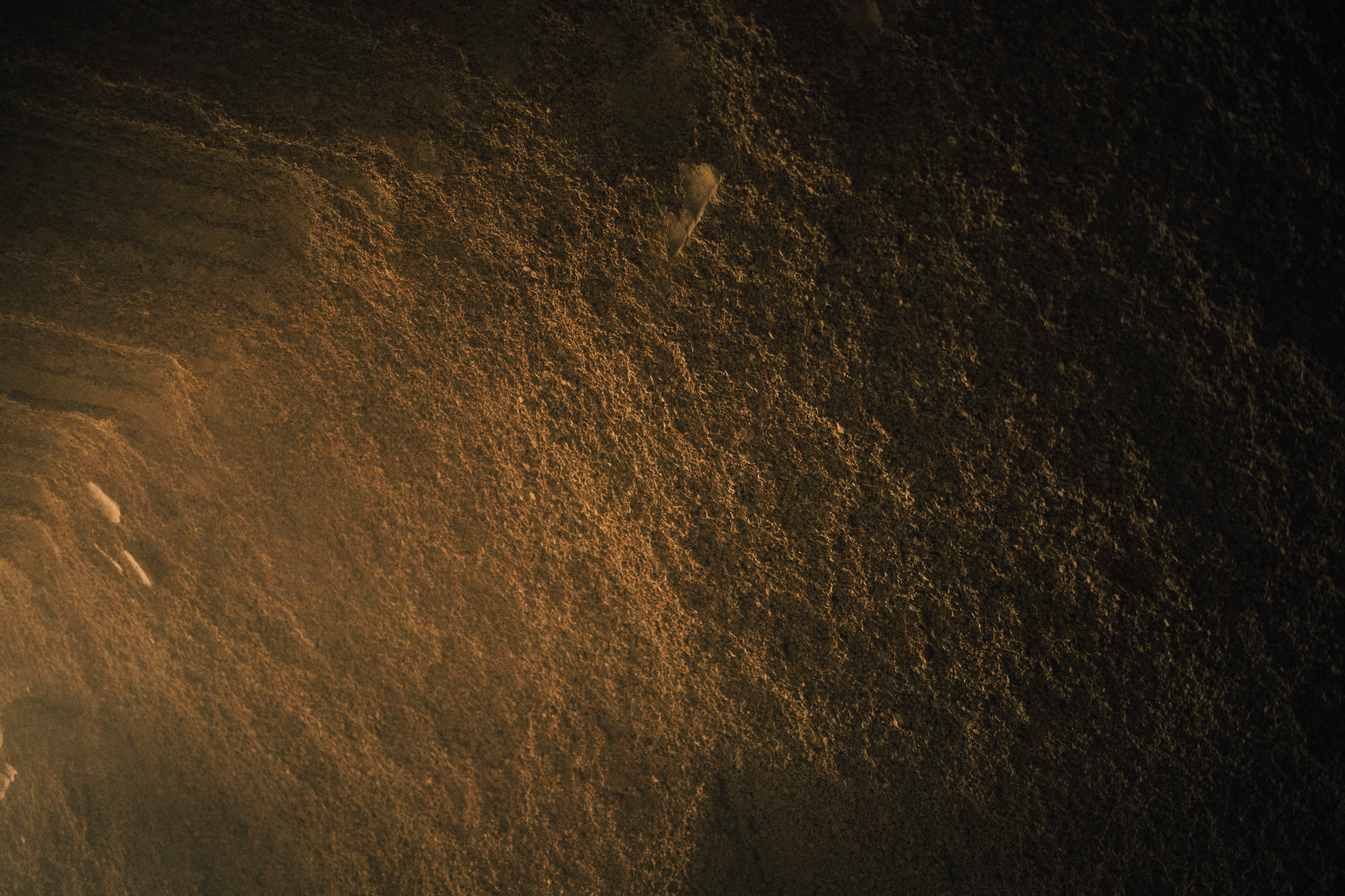 IN Dessert Textures Details LR 28