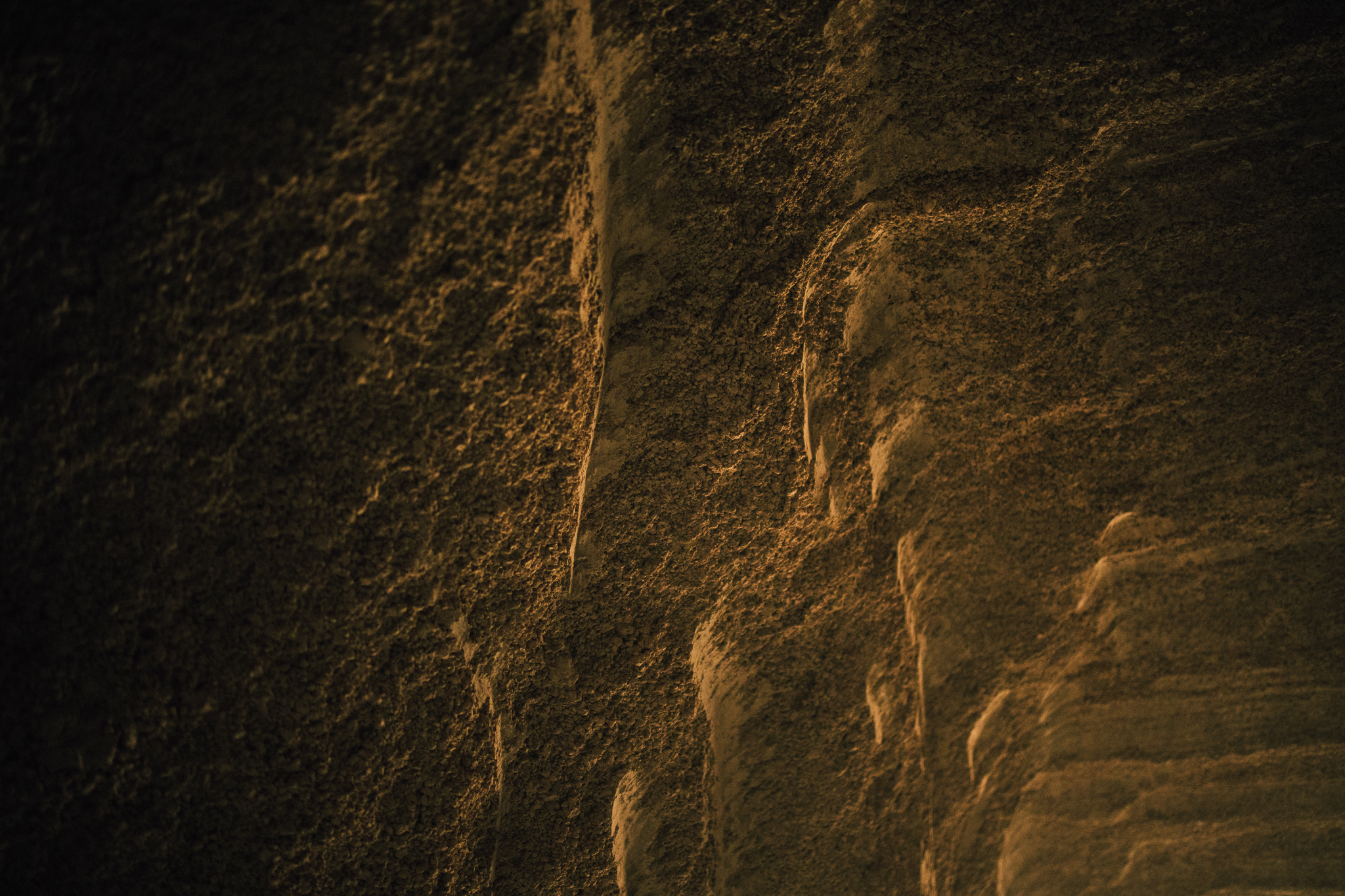 IN Dessert Textures Details LR 30