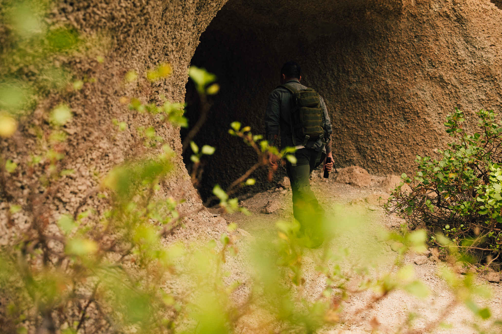 IN Jungle Textures Details LR 31