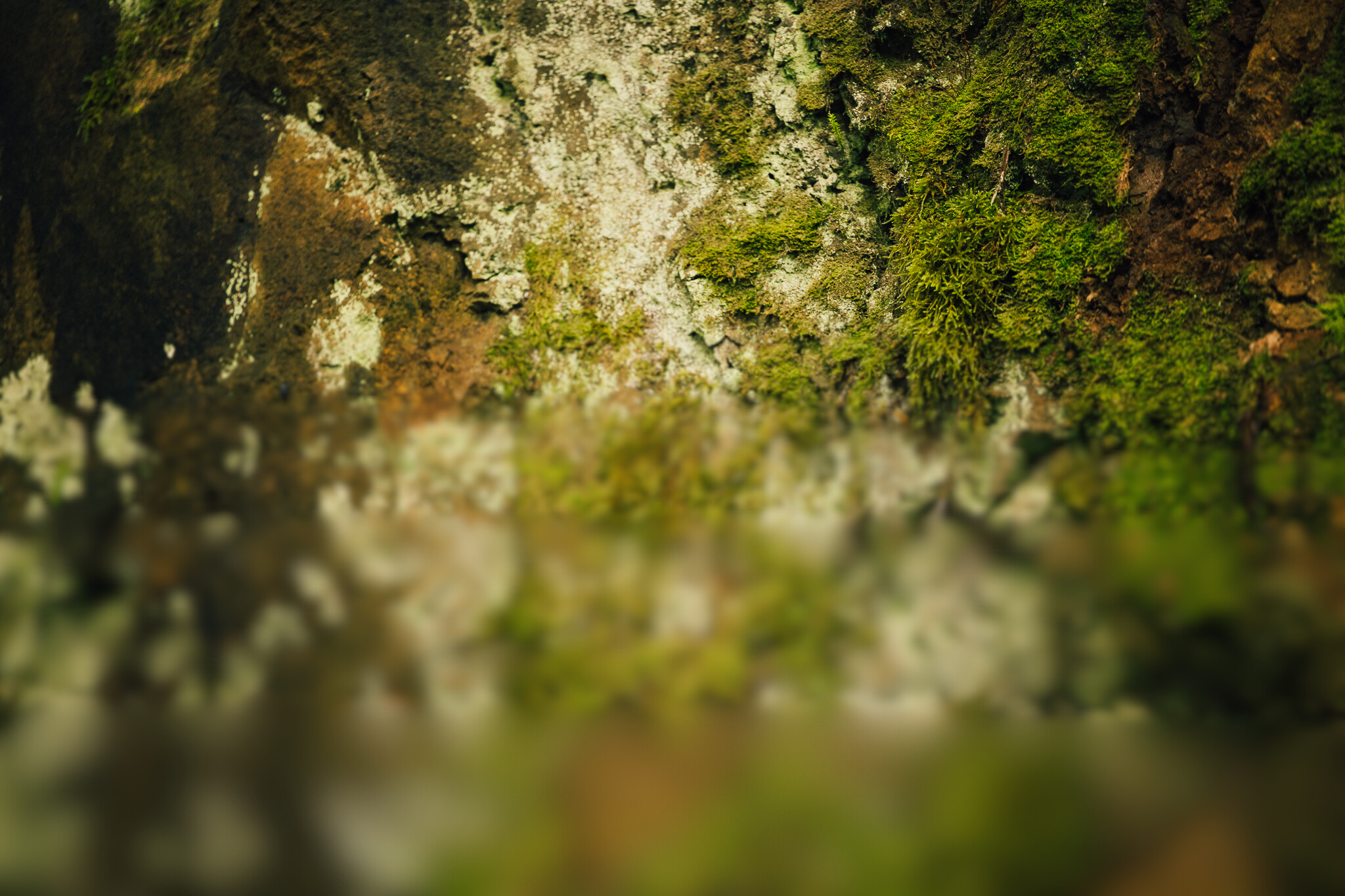 A024028d 9896 4240 a7ad 410f8f7a6edc