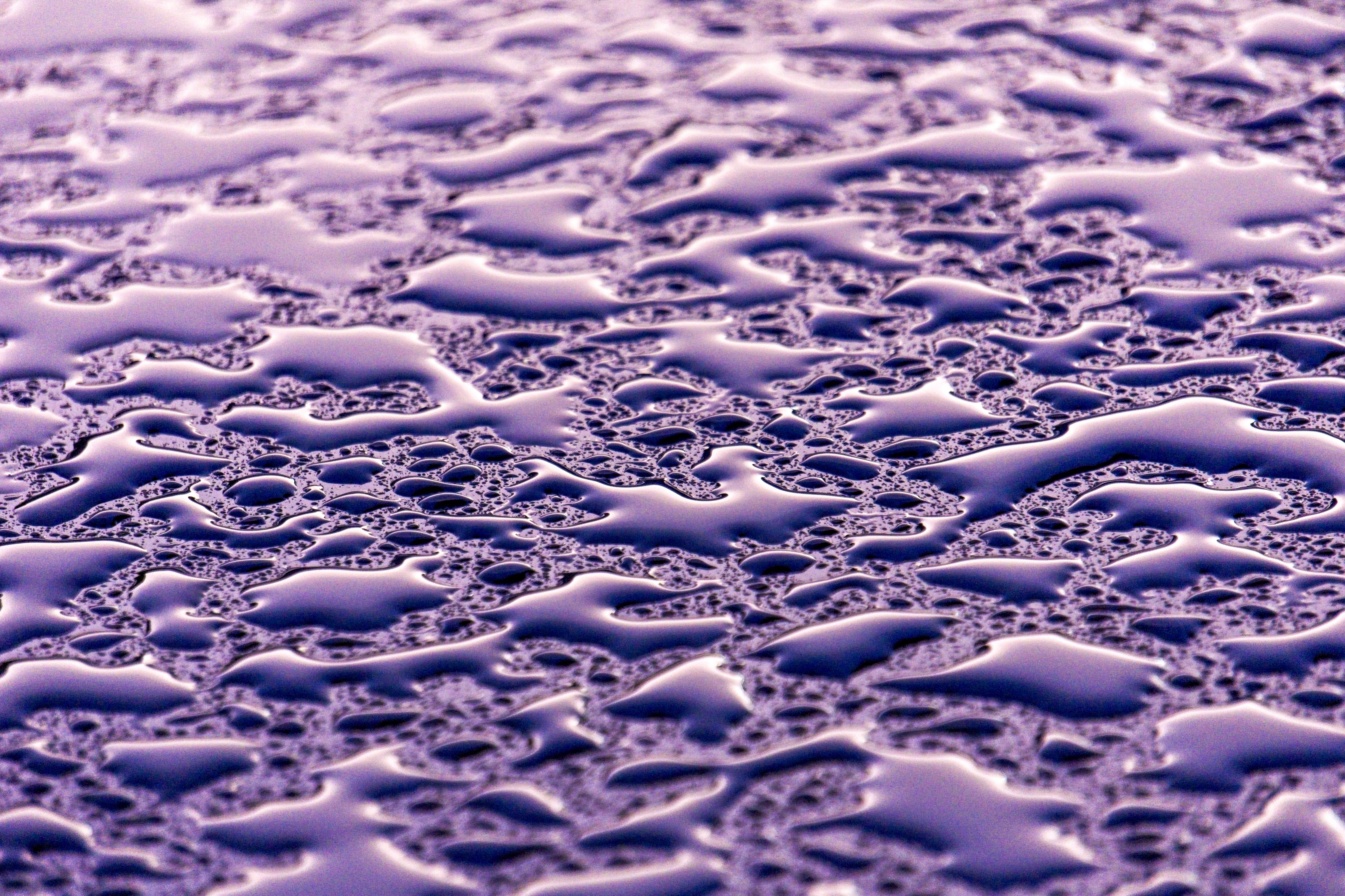 Abstract texture of water droplets on a purple sur 2026 01 07 23 45 16 utc
