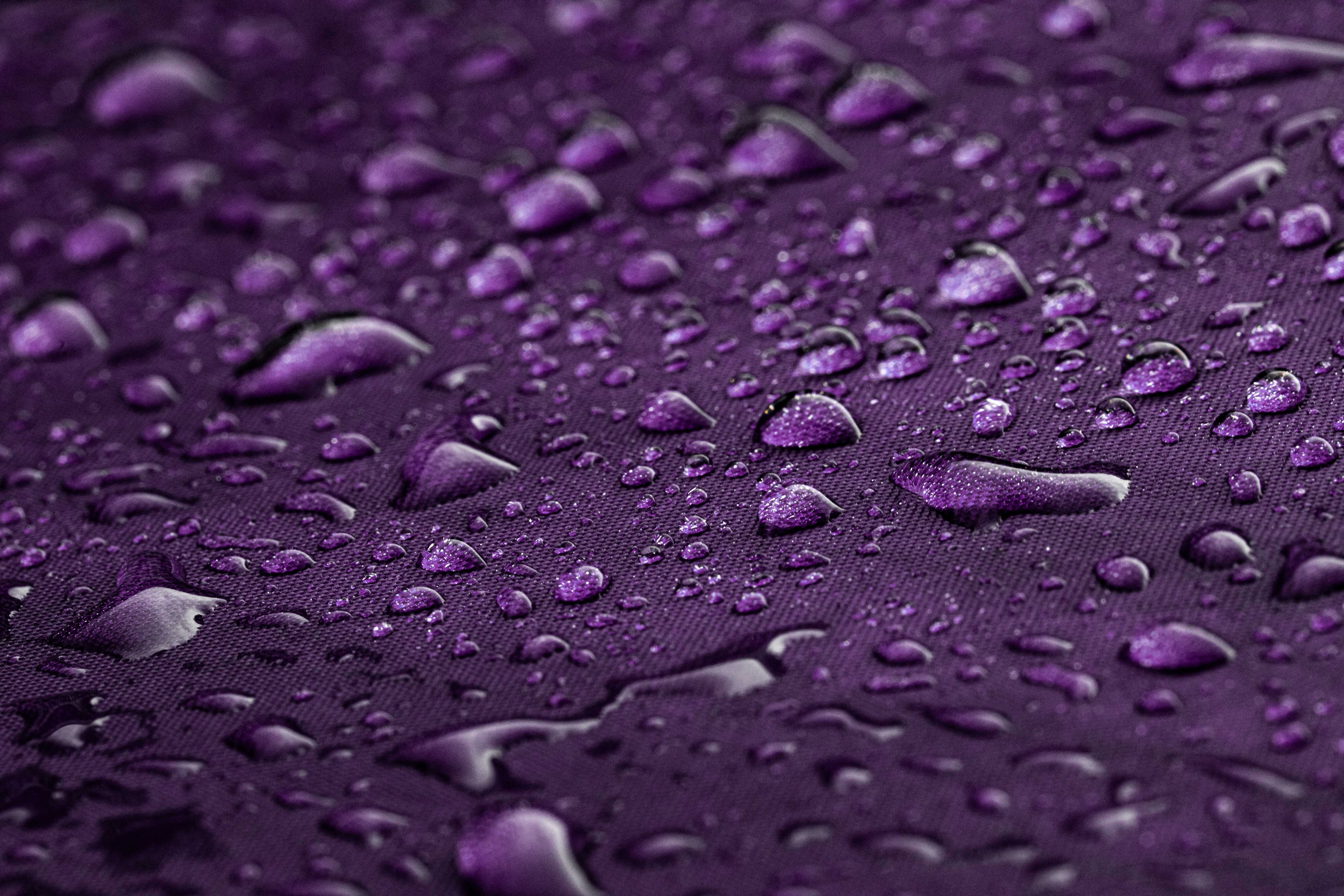 Background of a macro shot of raindrops on a purpl 2026 01 07 01 35 37 utc