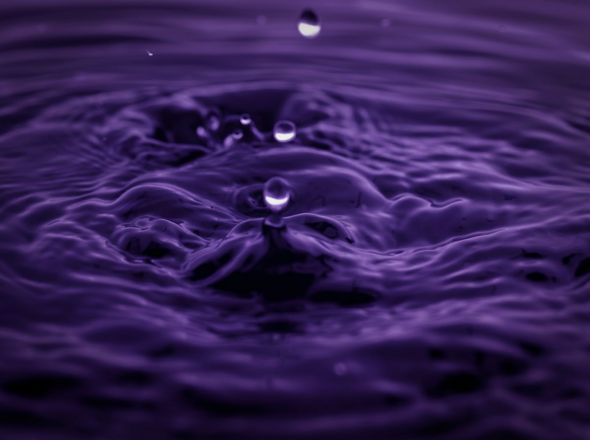 Envato labs image edit 12