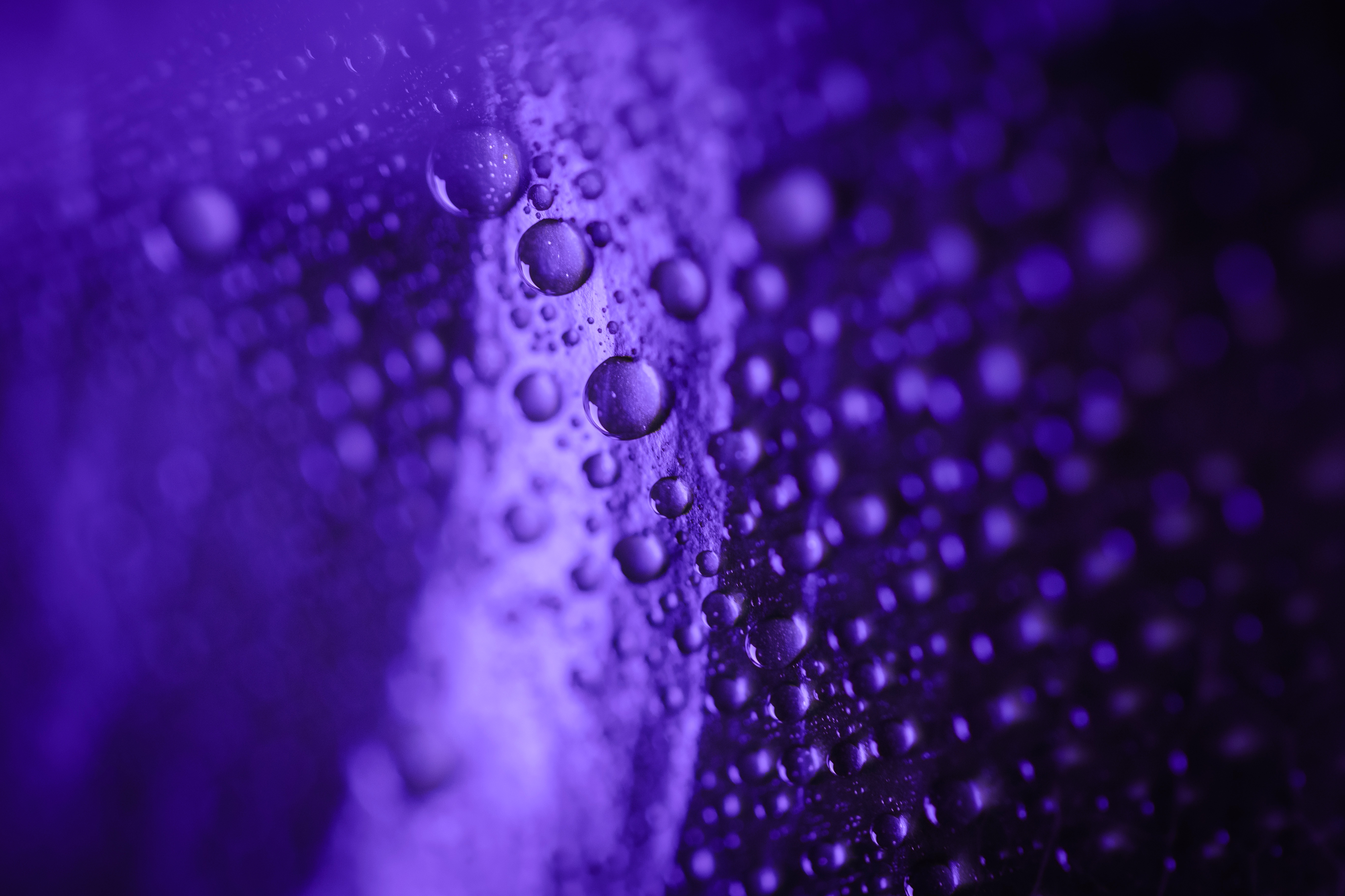 Purple wet surface with colorful glistering water 2026 01 07 07 16 26 utc