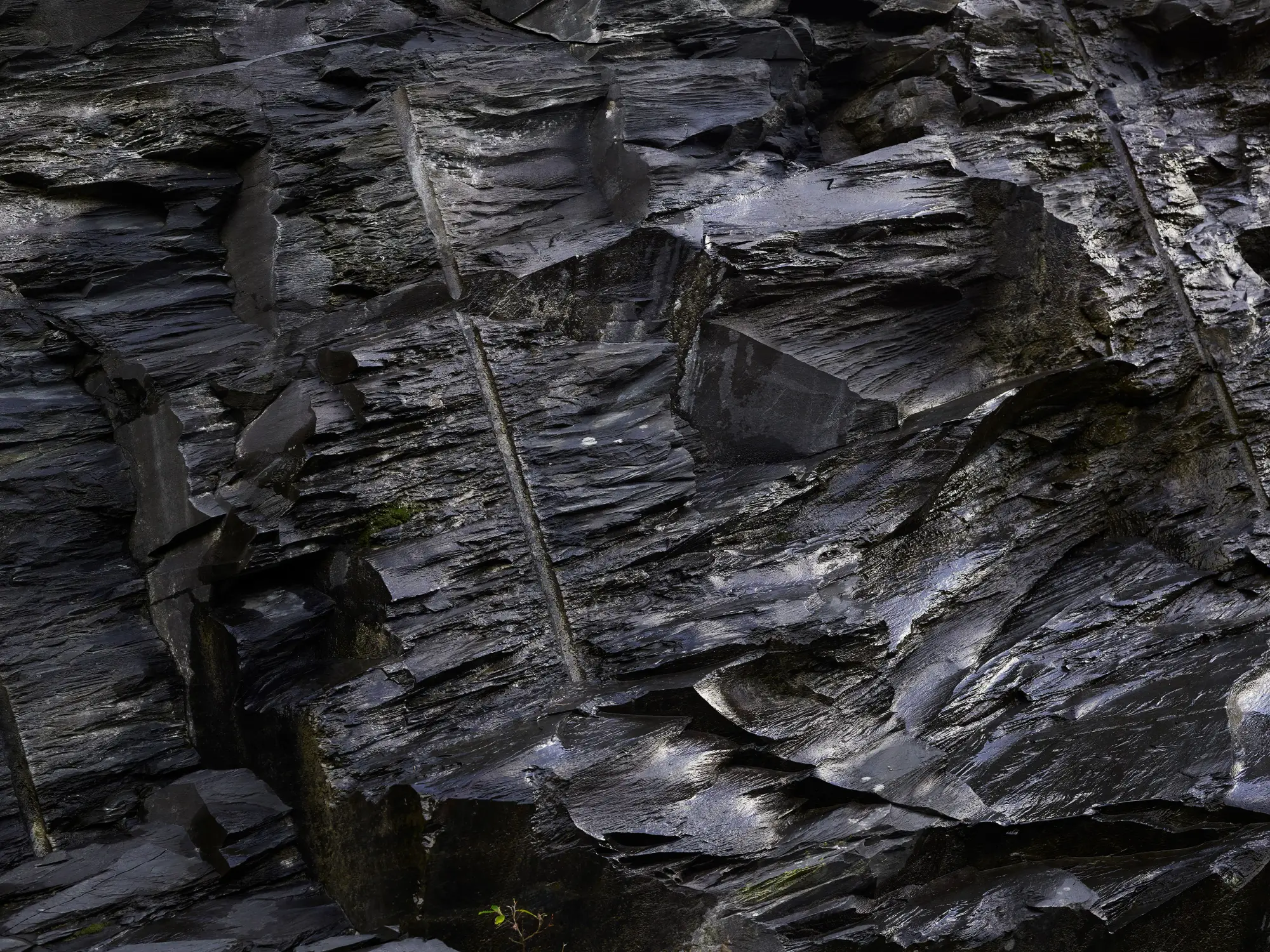 D9878af5459a64d5a55d183a53adc654 1