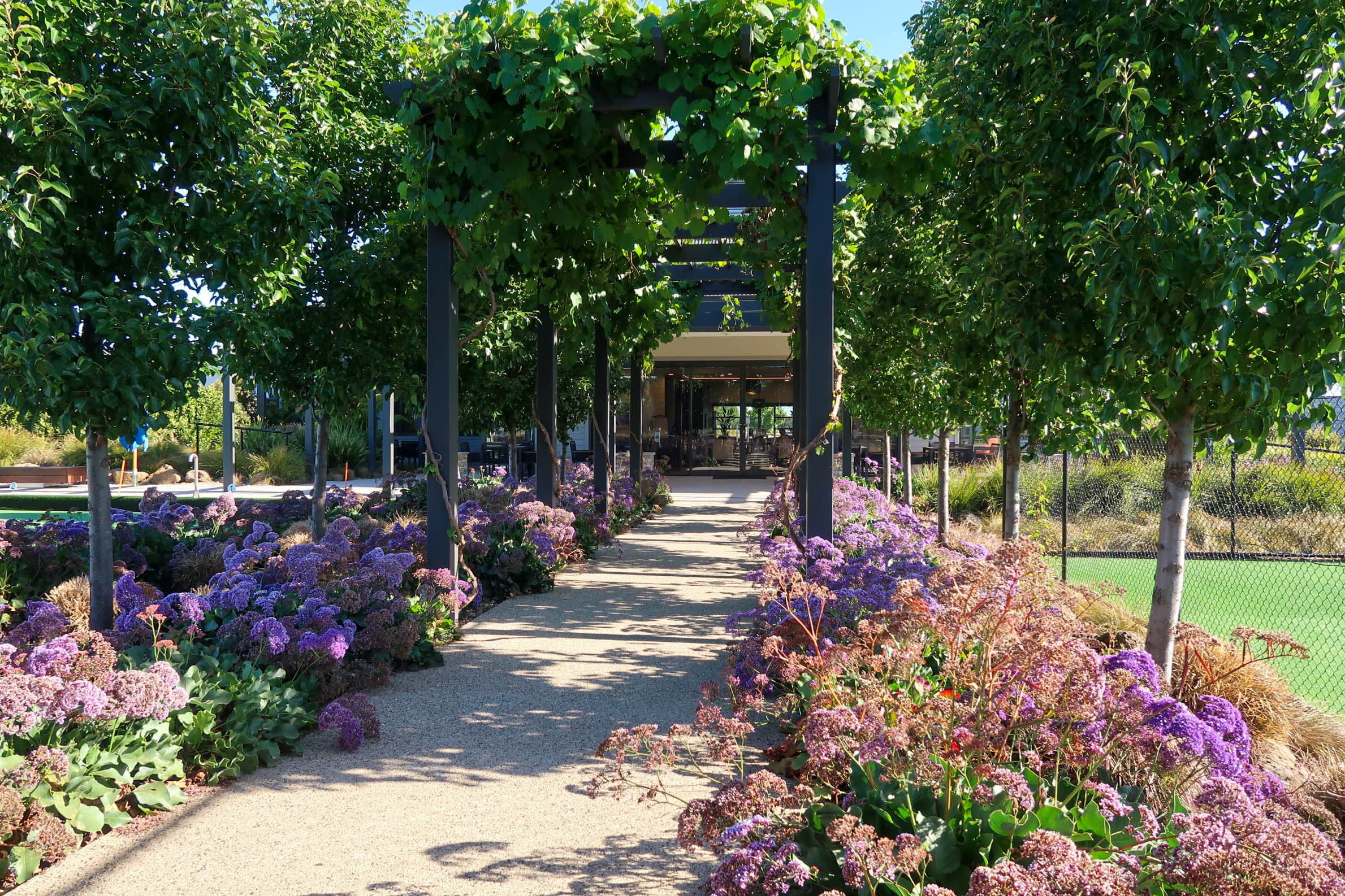 Pergola walkway with flowering gardens at Lifestyle Lyndarum.