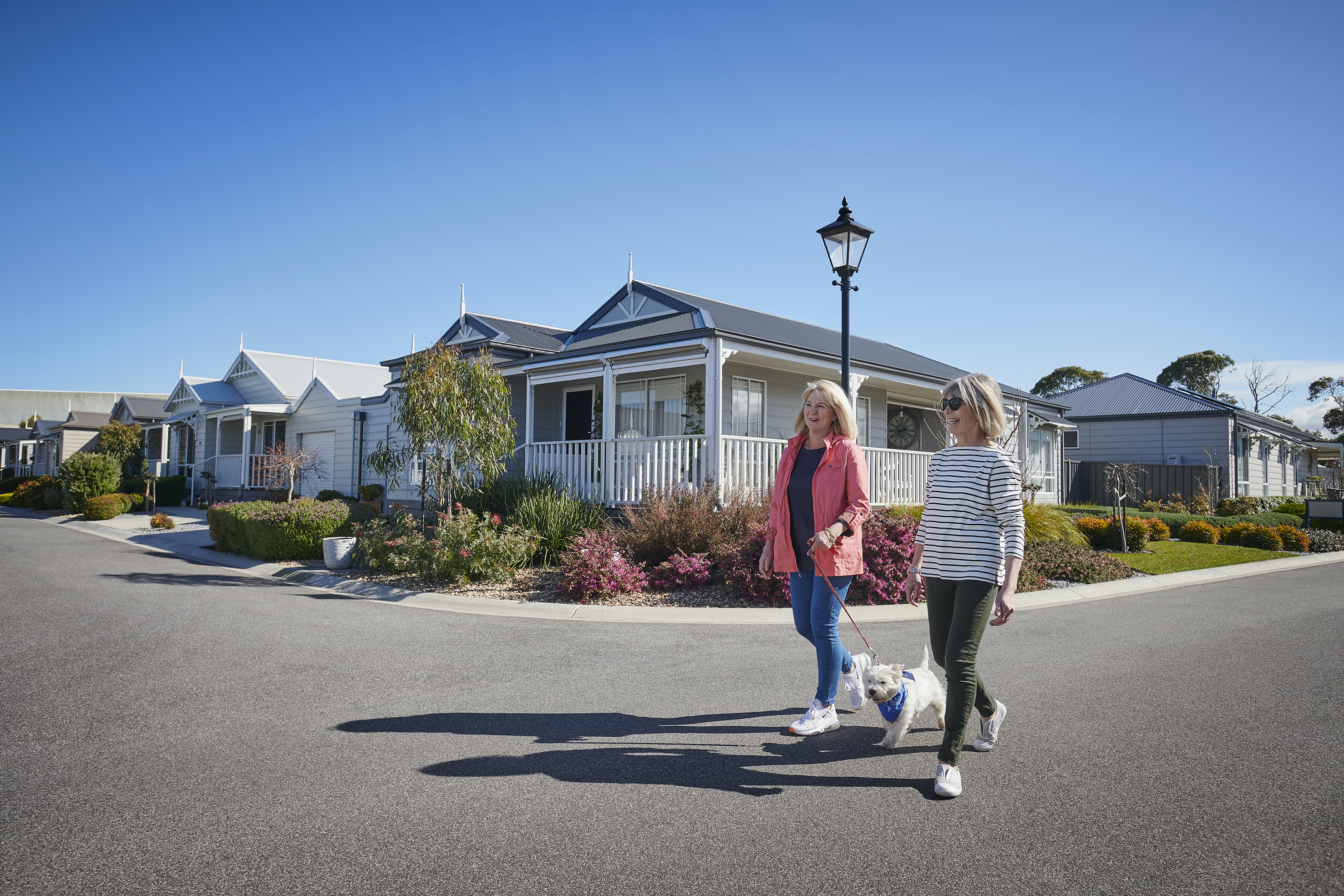 Two residents walking a dog together through the Lifestyle Chelsea Heights community.