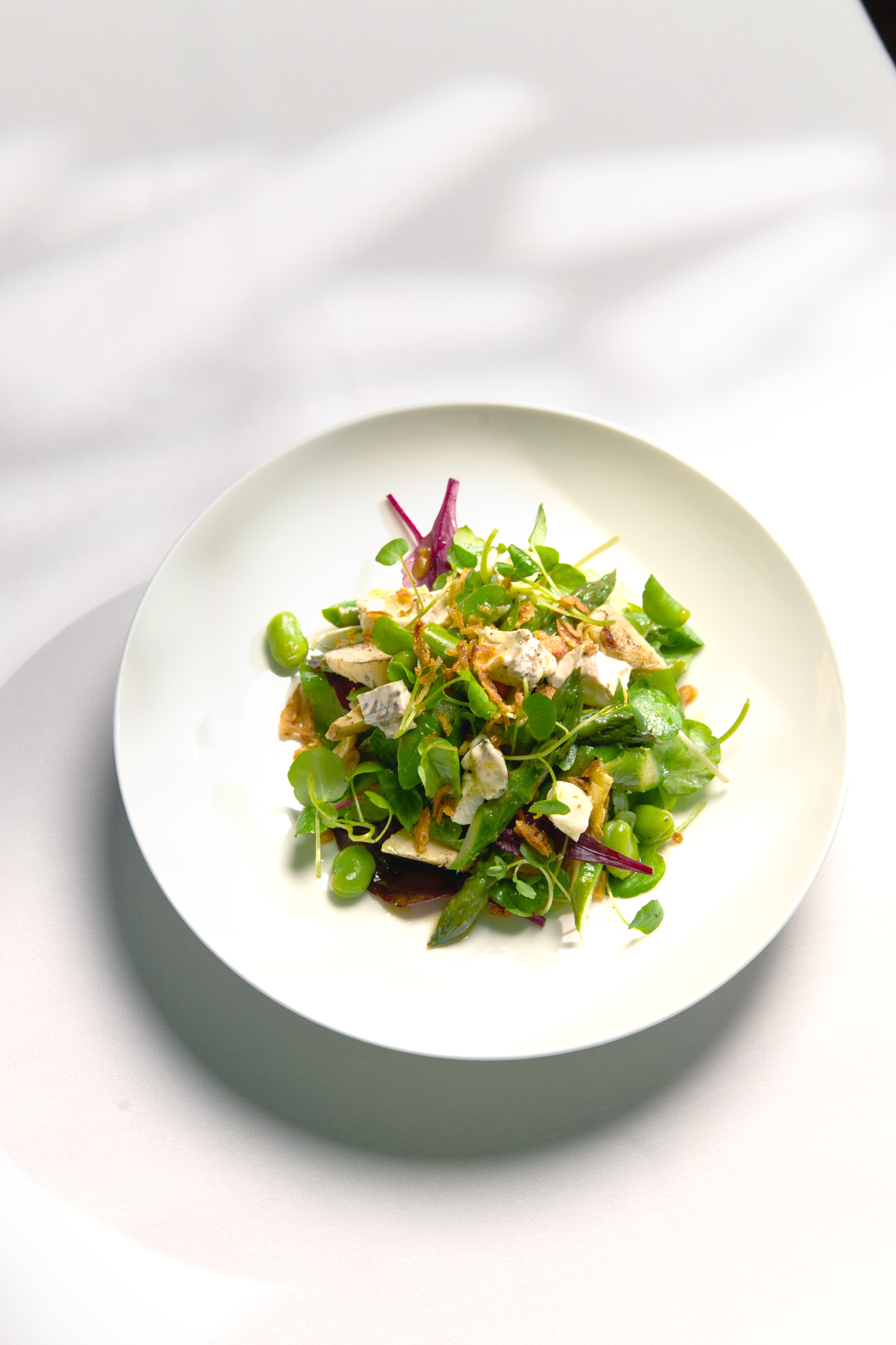A salad with mixed greens, broad beans, feta cheese, crispy shallots and red leaves on a round white plate, shot from above.