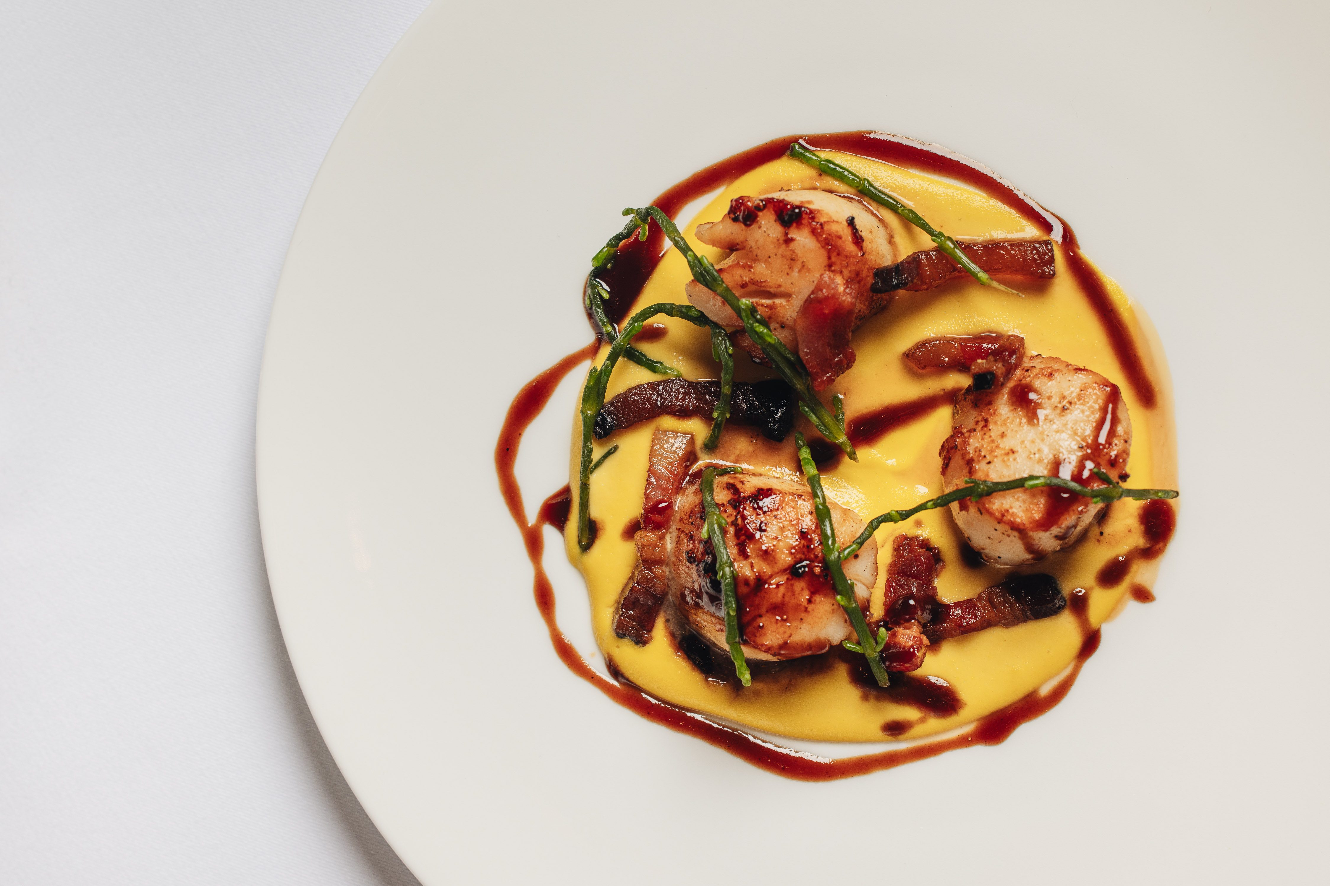 Seared scallops on yellow purée, topped with crispy bacon, samphire, and a red wine reduction drizzle, served on a white plate.