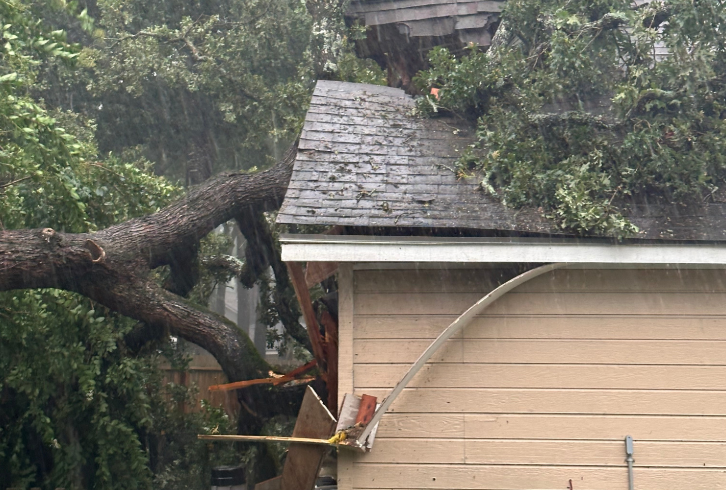 2024 Annual Report Disaster Relief Beryl