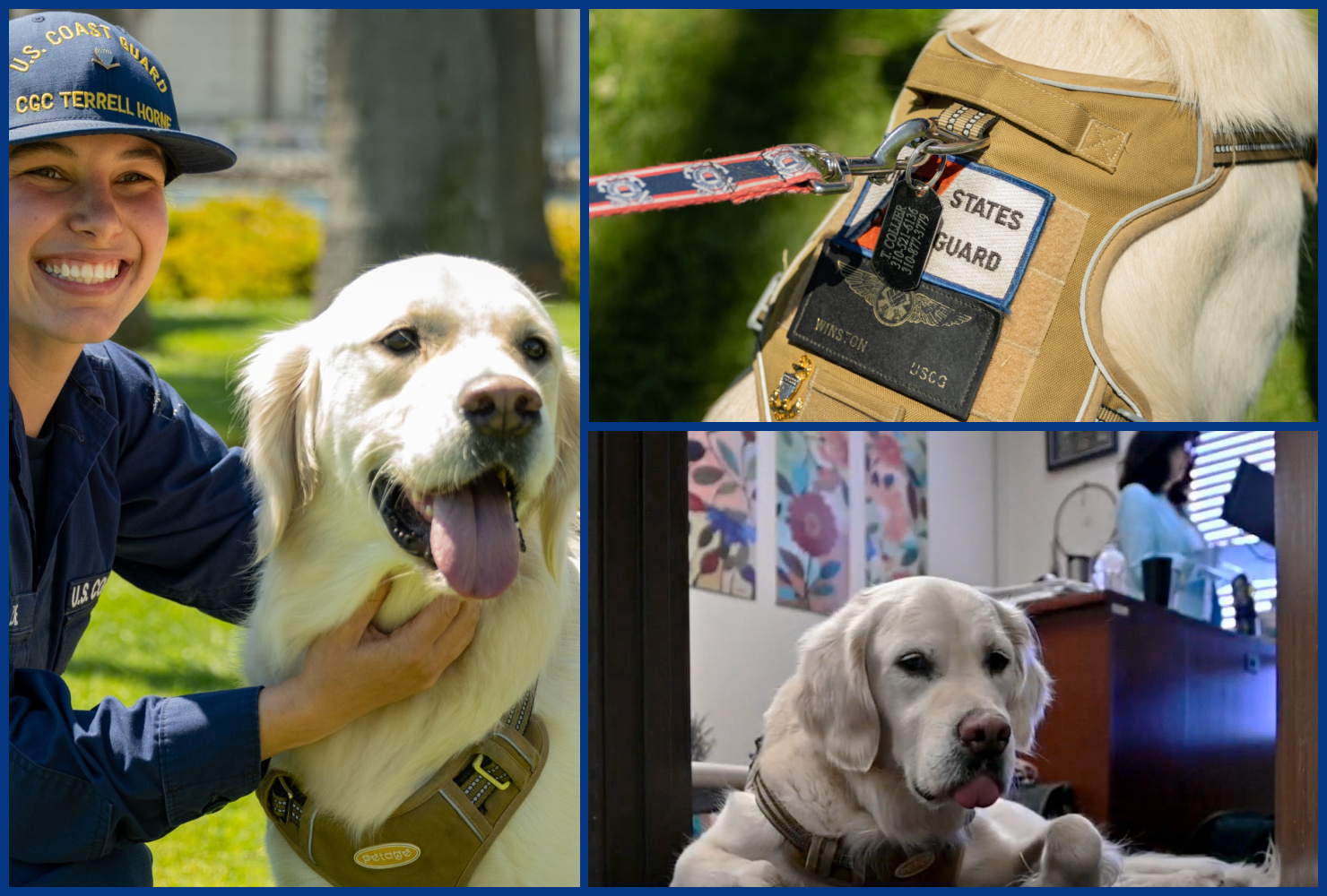 2025 Winston Collage