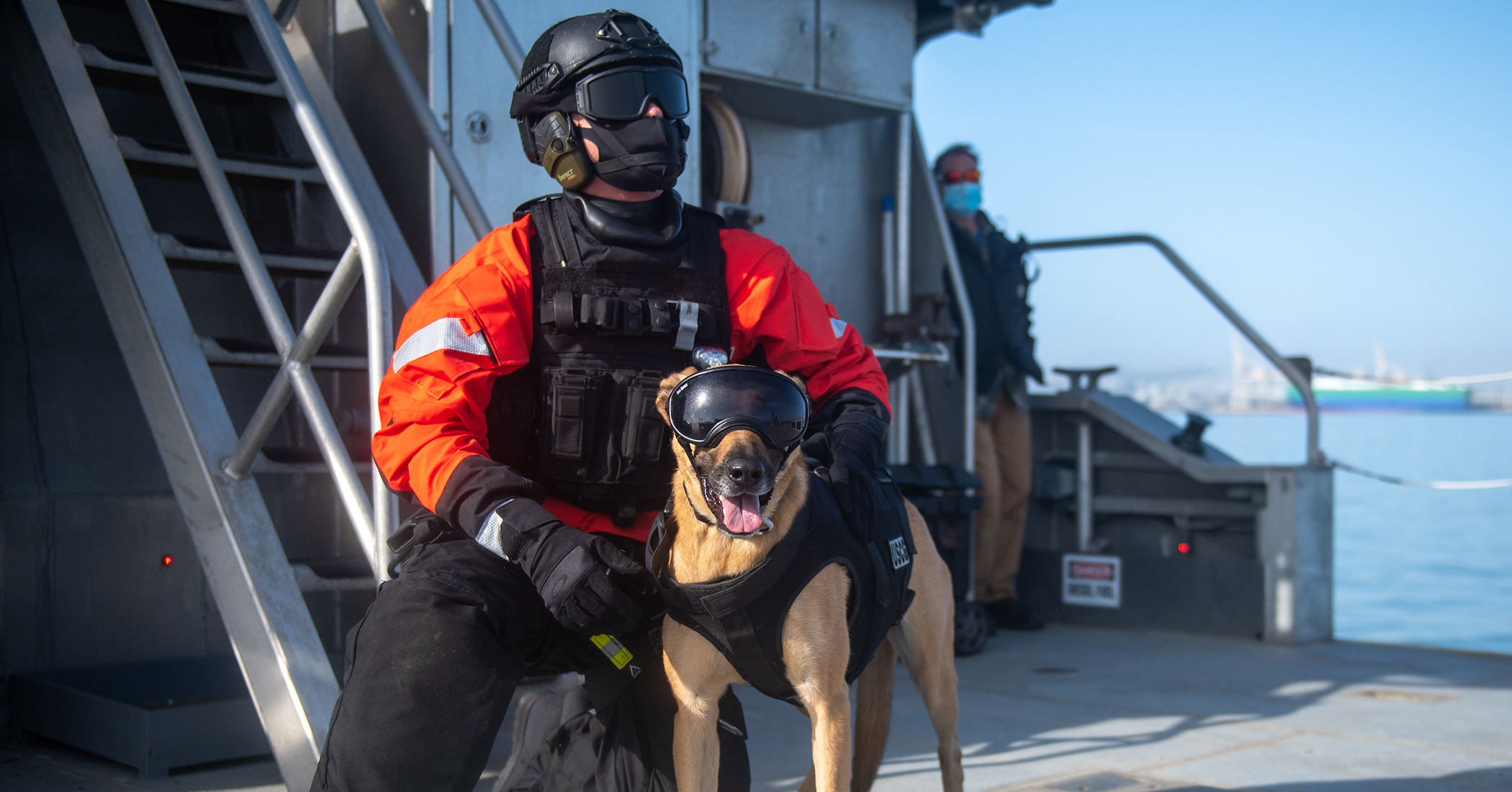 K9 webstory 2100x1100