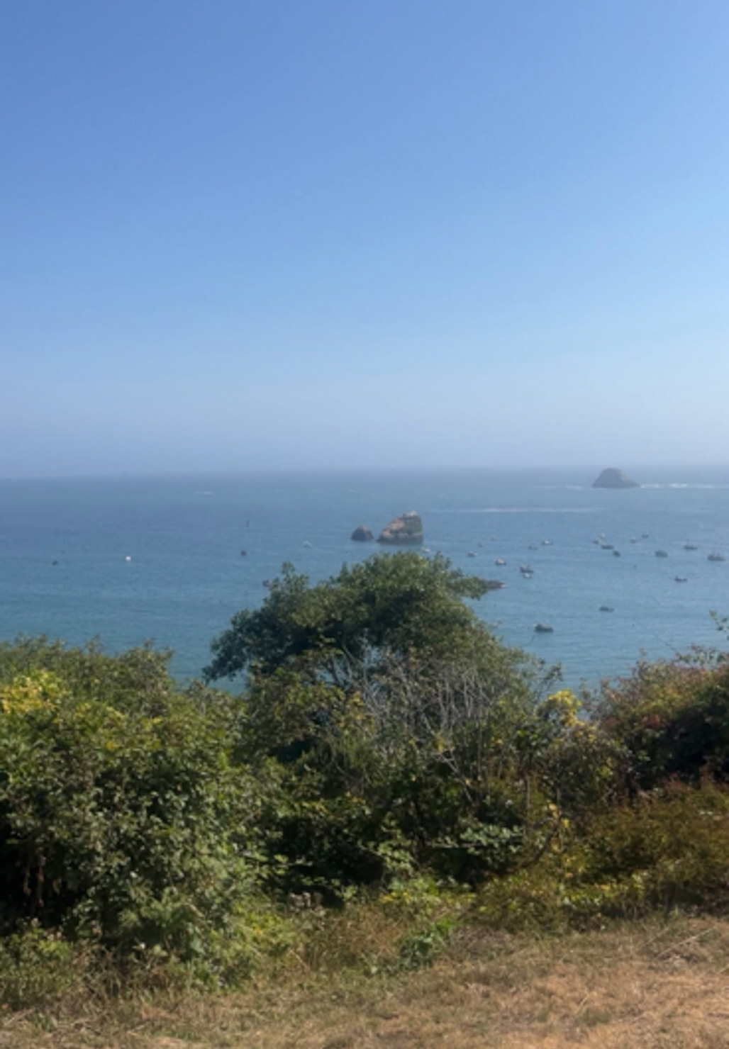 A hazy blue ocean seen from a bluff through green shrubs and a leafy tree, with small boats scattered on the water and two rocky sea stacks rising near the horizon. The foreground is dense, leafy bushes with touches of yellow and rust, over dry golden grass. Beyond them the sea fades from teal to pale blue at the horizon under a cloudless sky.