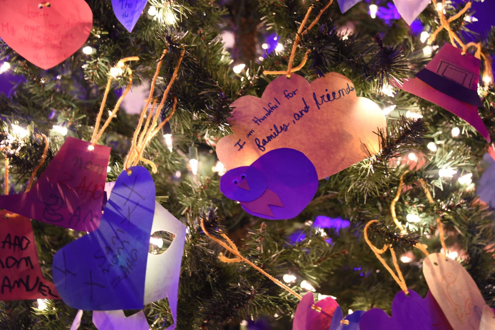 News - D7 Thanksgiving