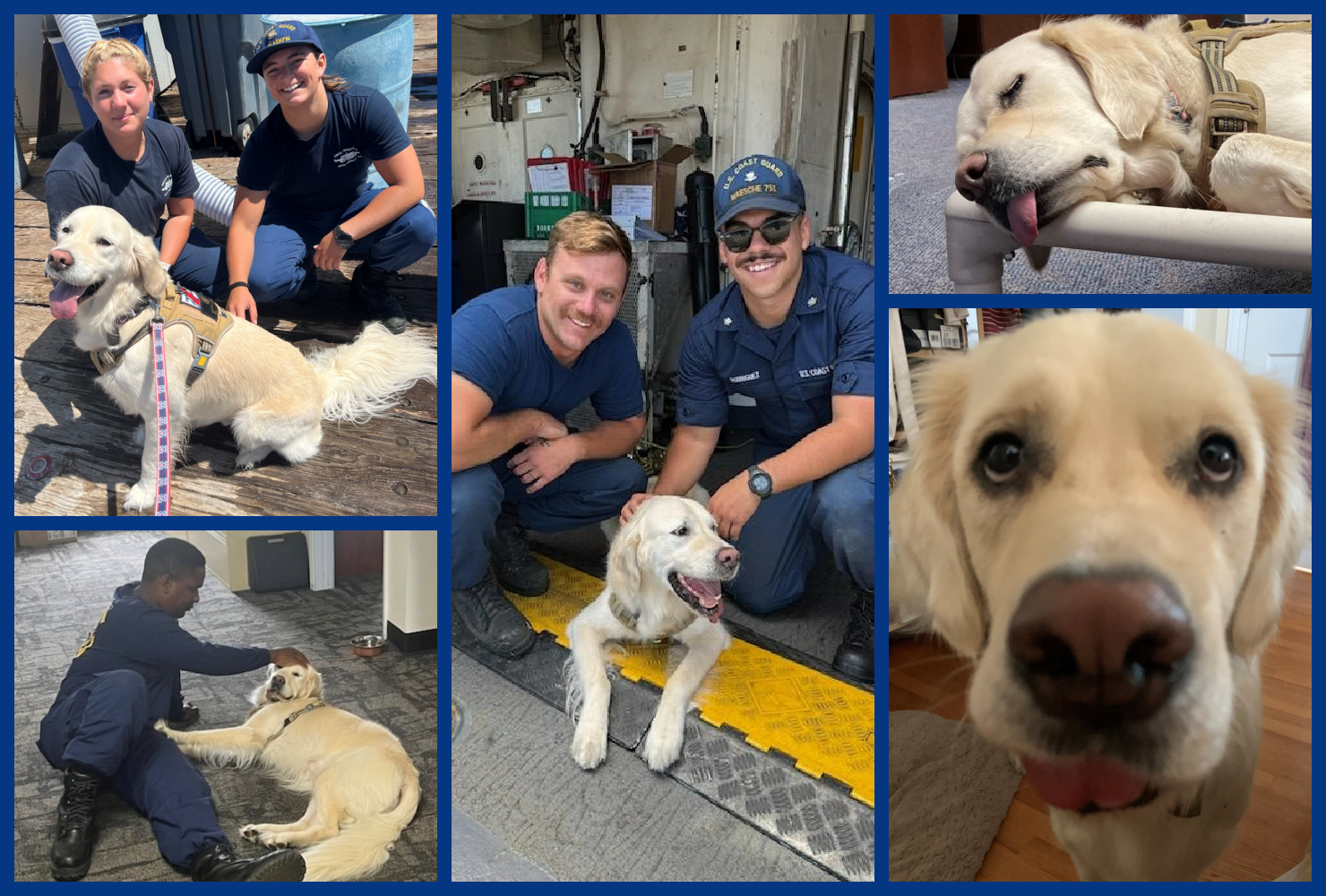 Winston Collage 2