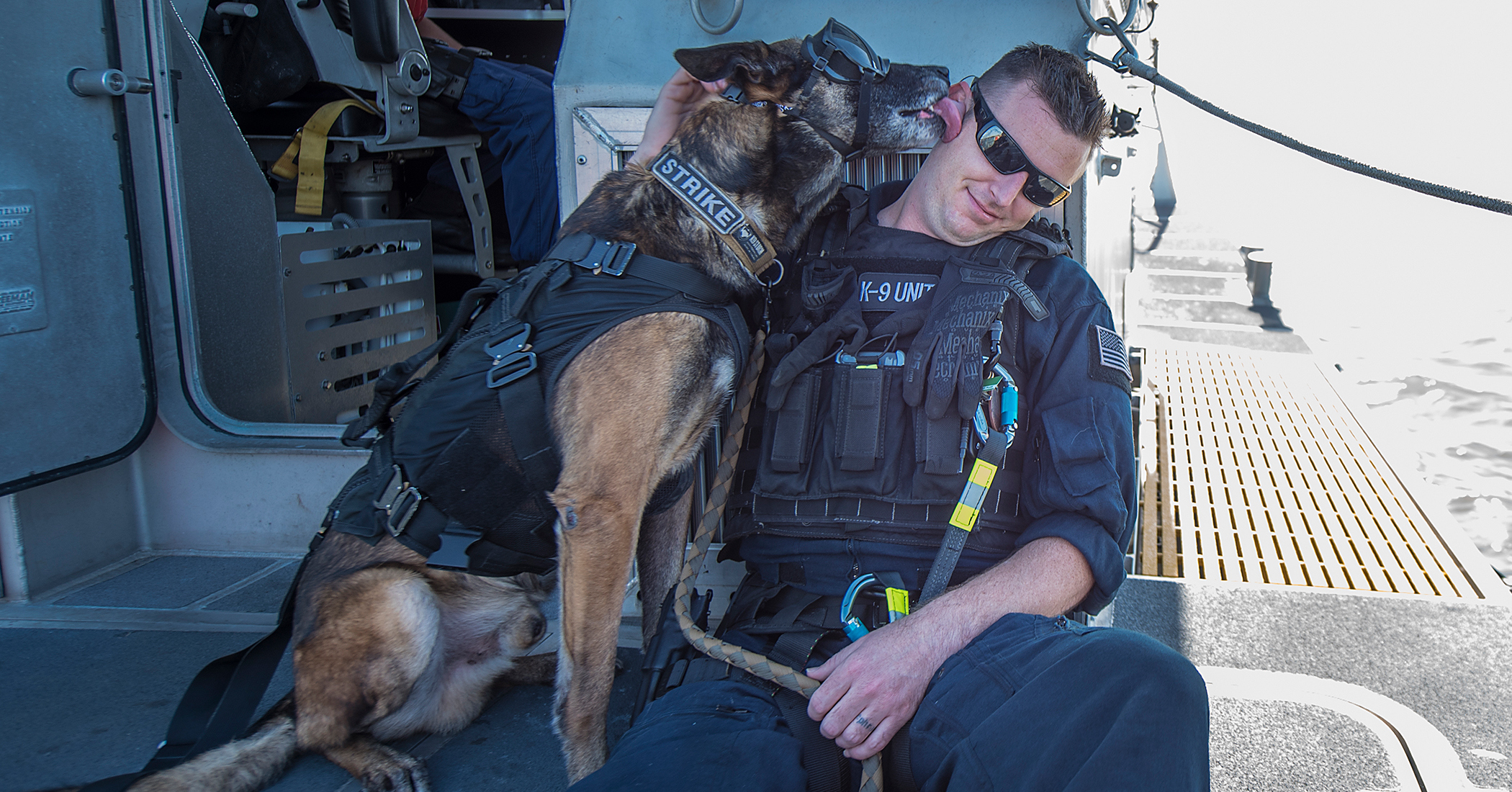 K9 webstory 1 2100x1100