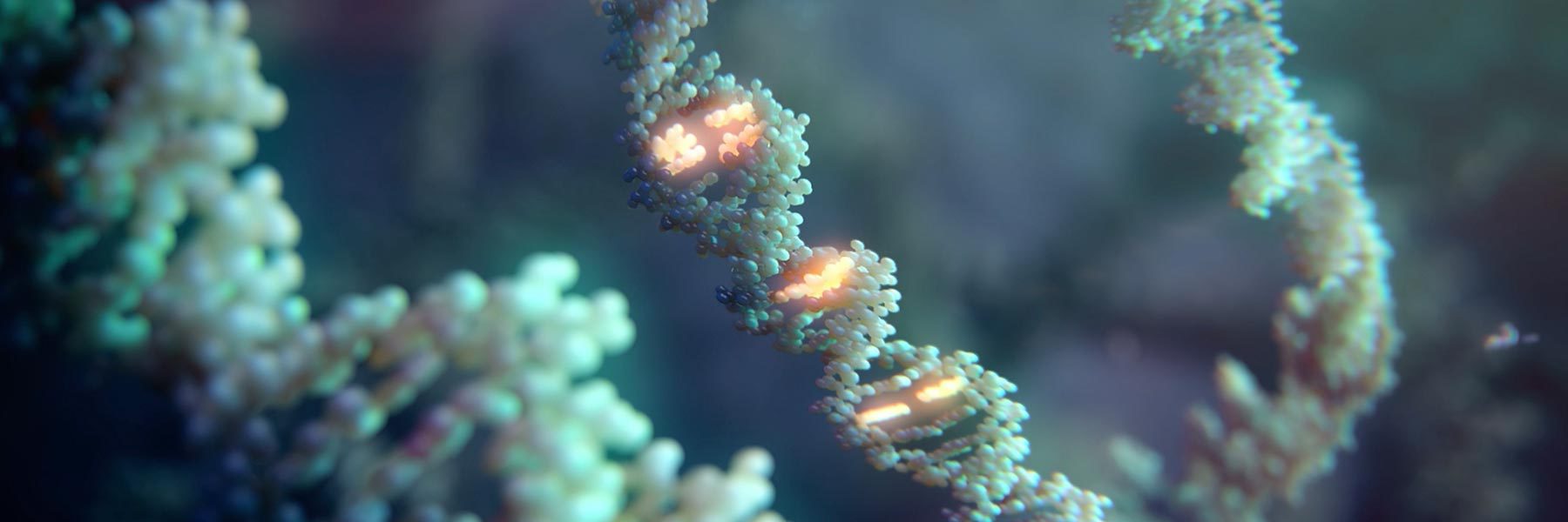 Banner spotlight aav gene transfer