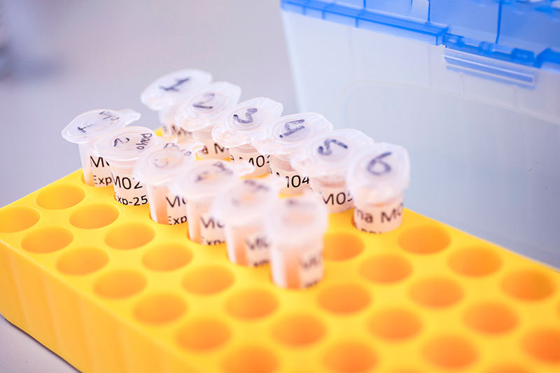 Our story gene therapy leaders