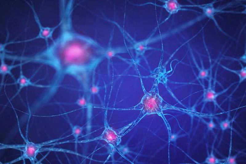 Programs pipeline huntingtons disease thumb