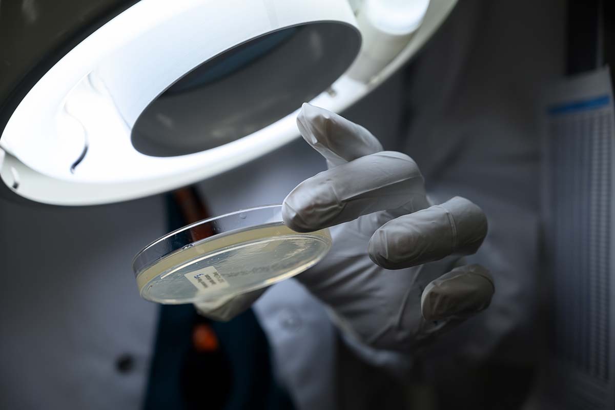 Chomitz2221 JCP1193 webcrop