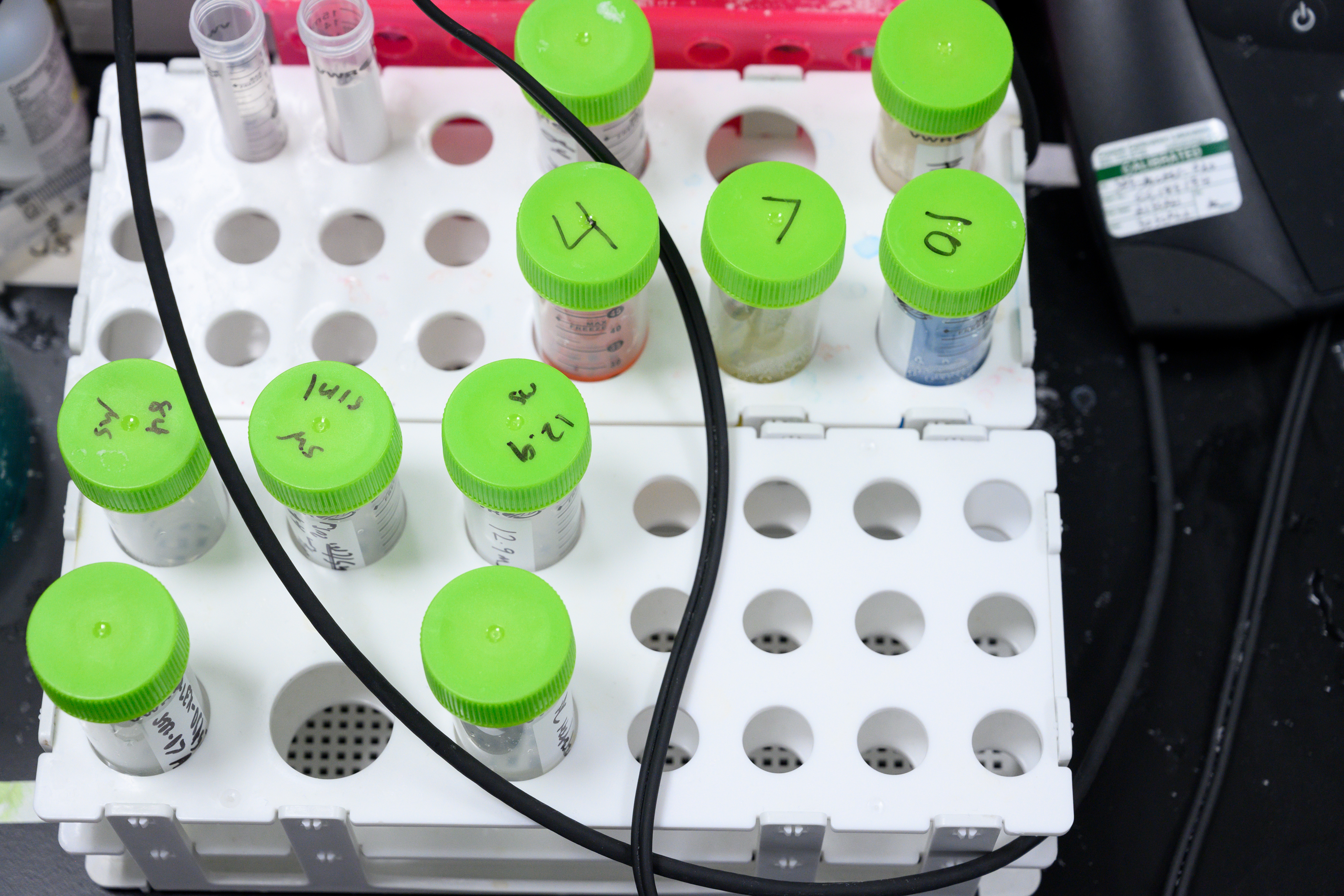 Chomitz2221 JCP2288prelim