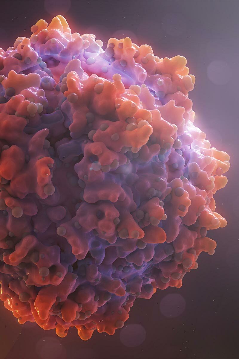 Timeline amt061 announcement