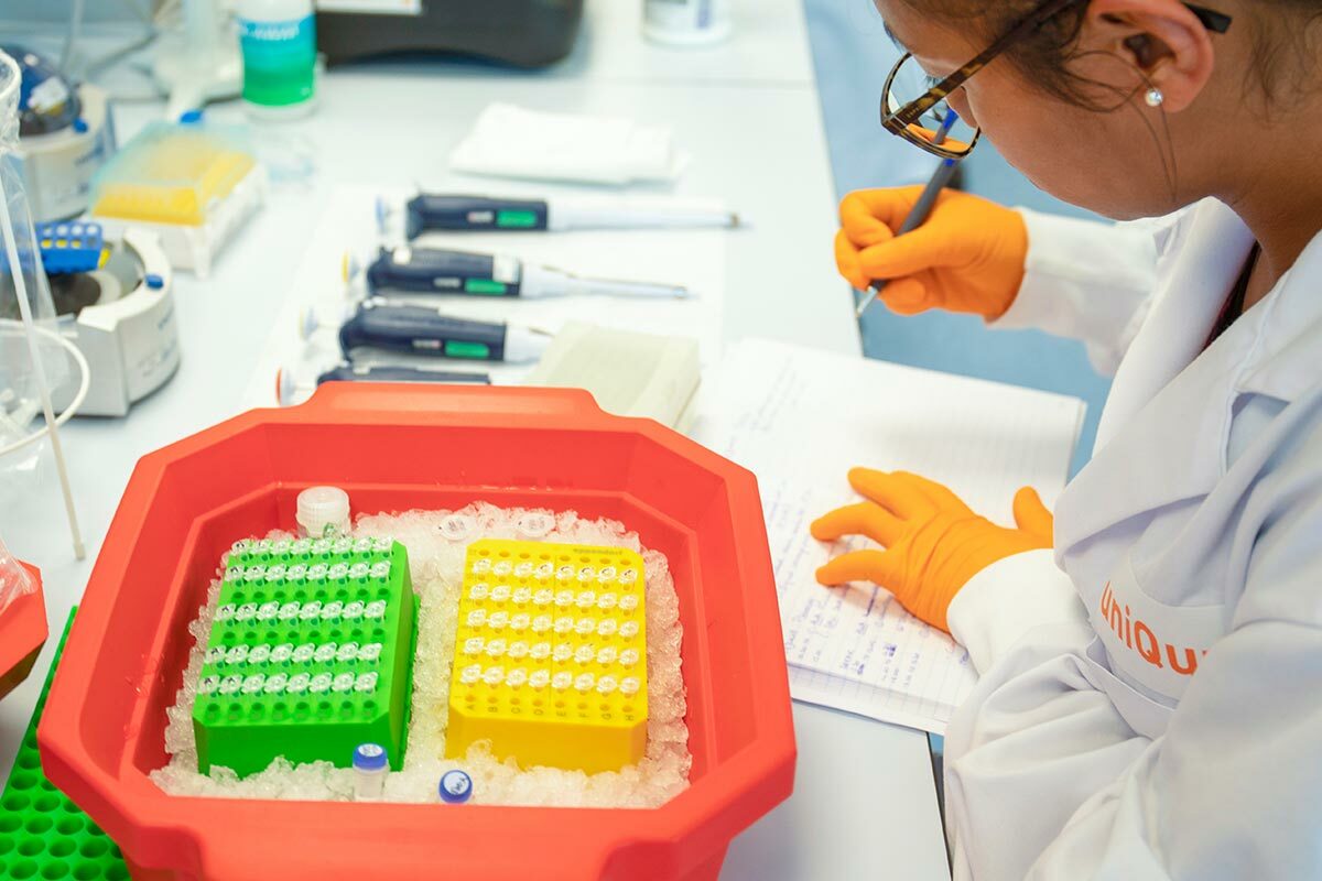 Timeline amt130 phase1 2 clinical trial