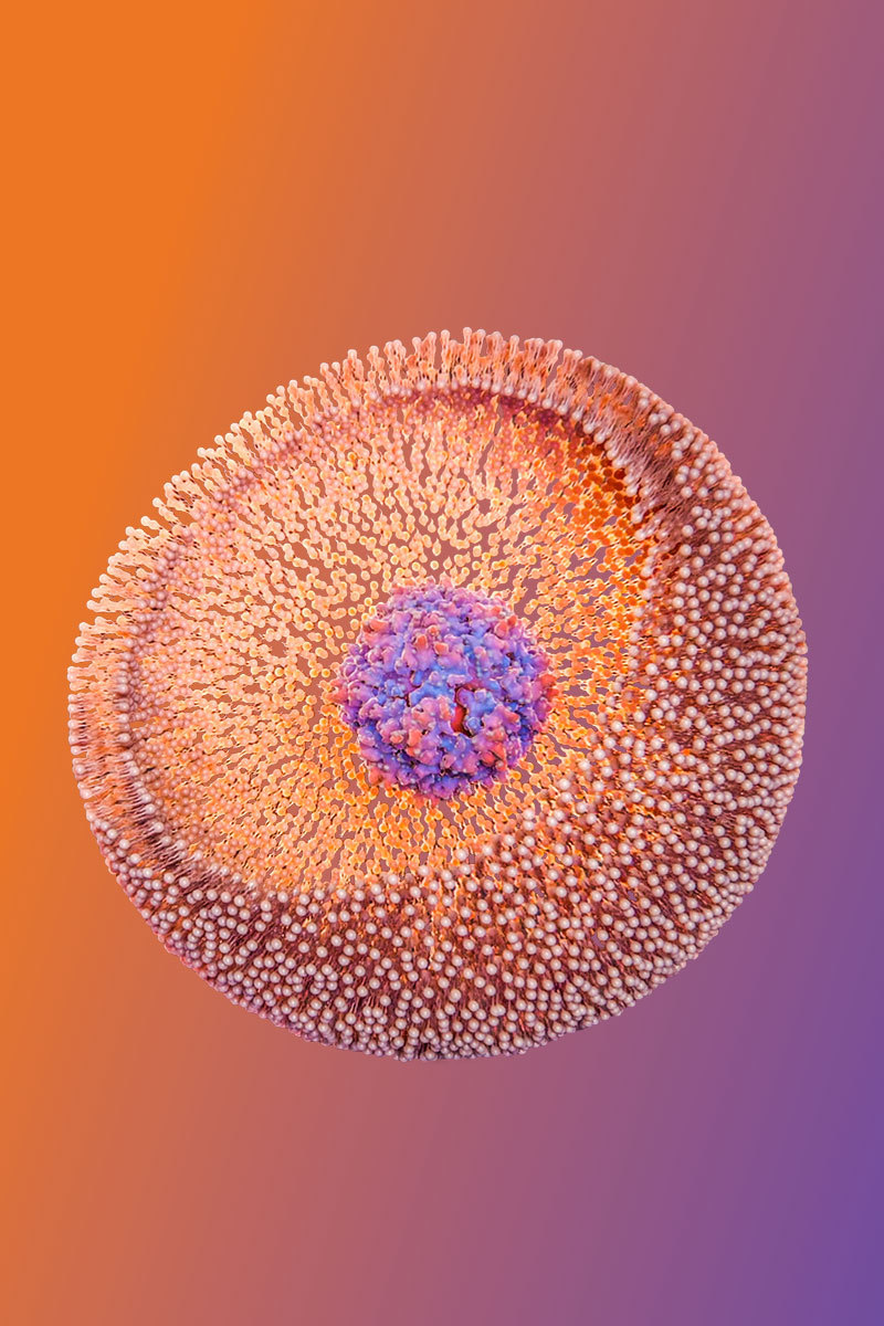 Timeline license fix gene cassette