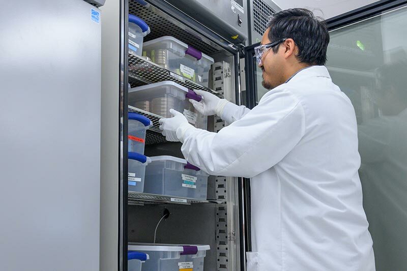 Working at uniqure vision