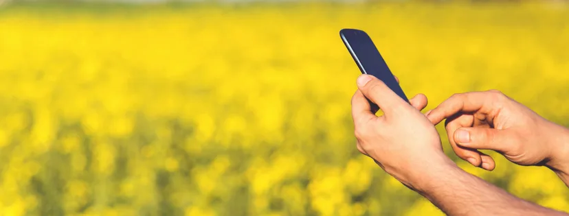 100+ Facts on Mobile Marketing