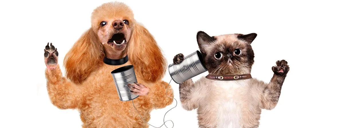 A True Friendship: Smartphones and SMS Marketing