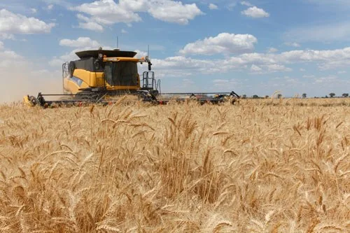 Aussie Farmers Case Study: Grain Link & SMSGlobal Powers & Supports Farmers At Scale