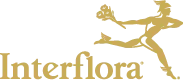 Interflora Interflora
